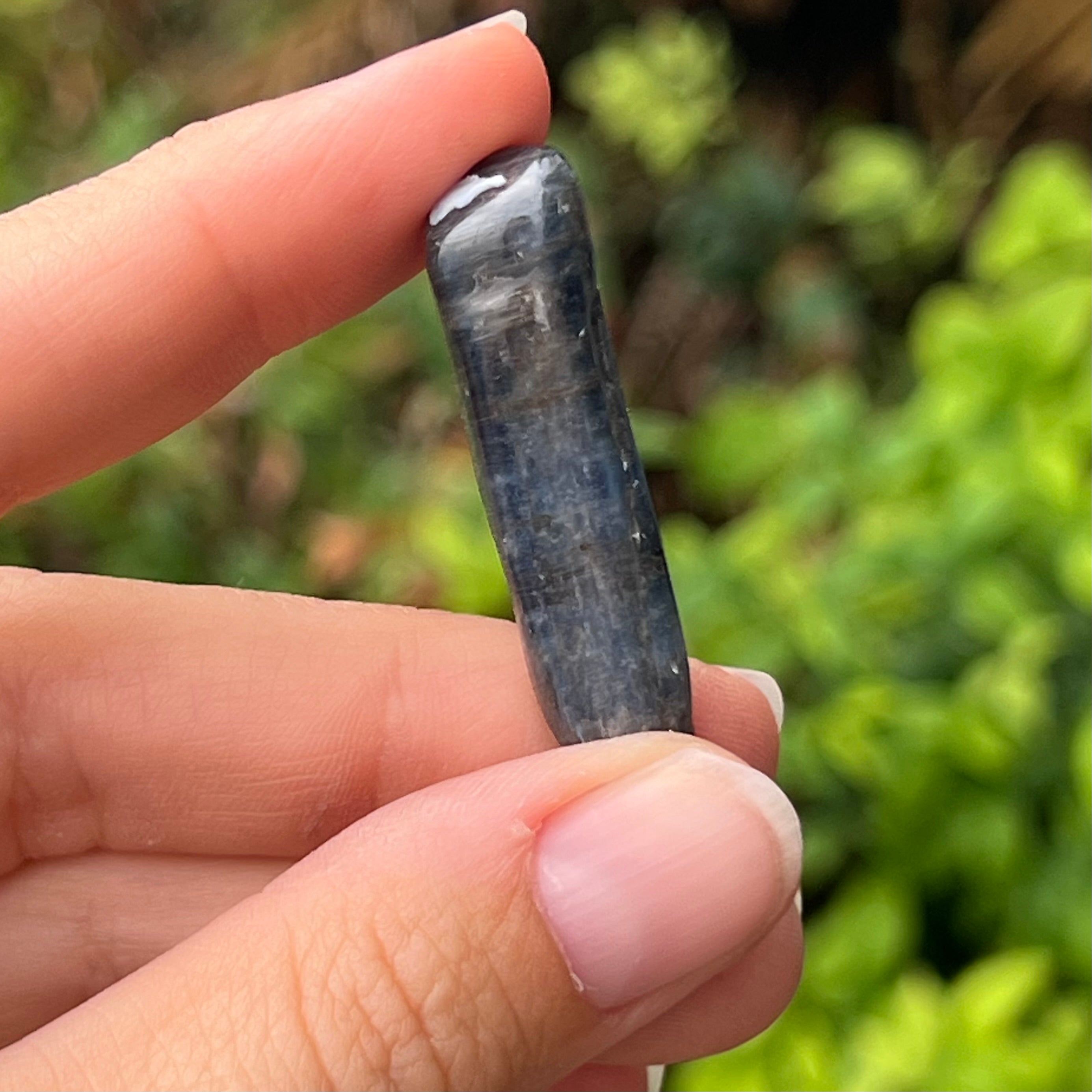 Kyanite Specimen ~ Specialty Boxed Crystal