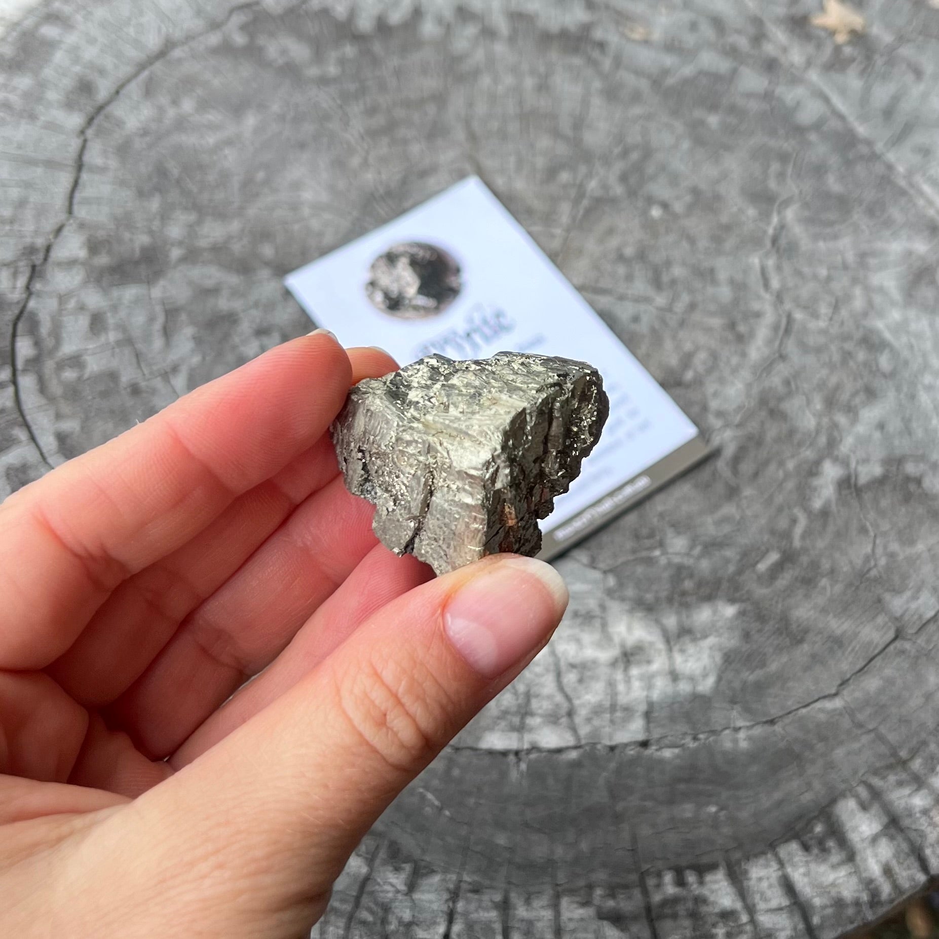 Pyrite Specimen