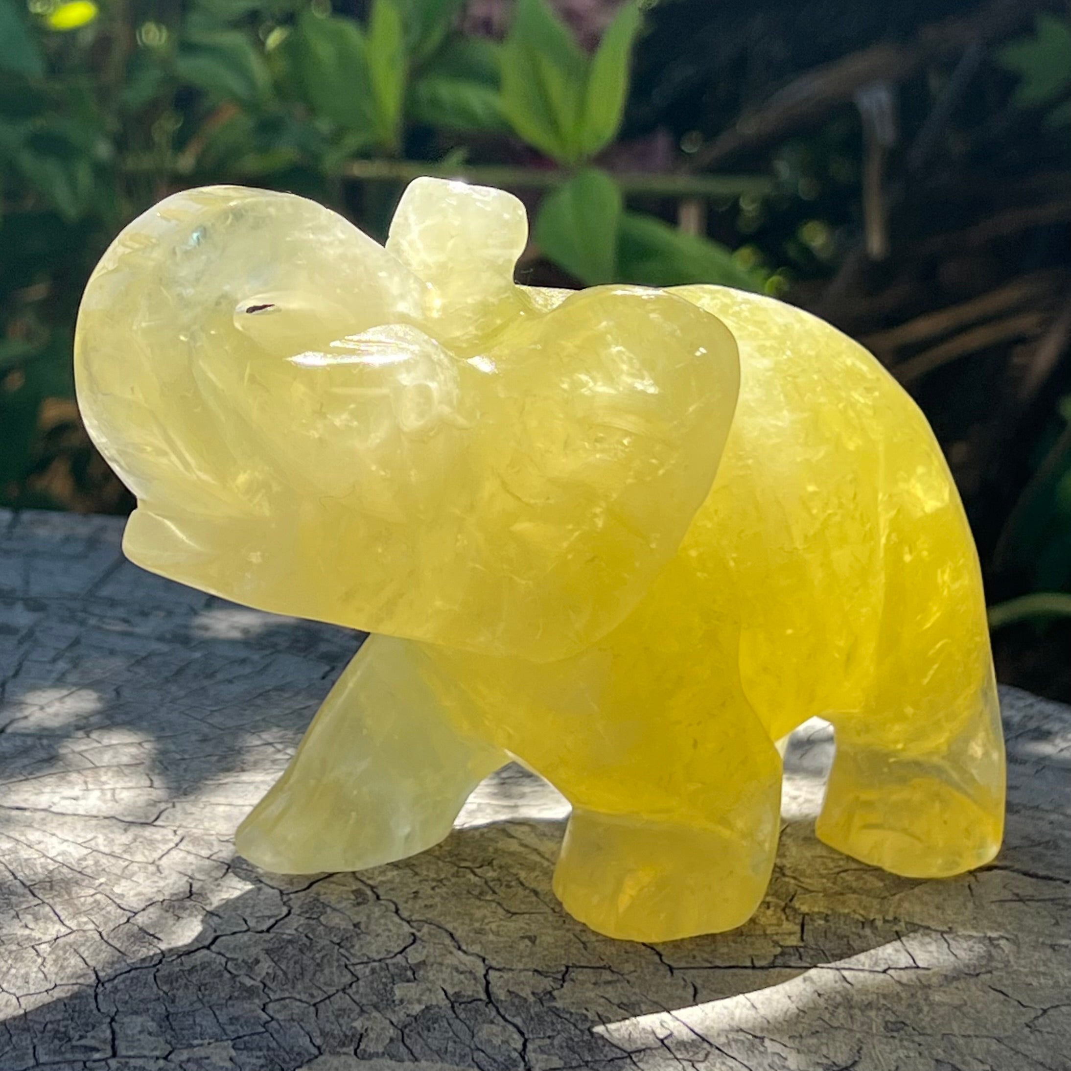 Lucky Elephant ~ Citrine