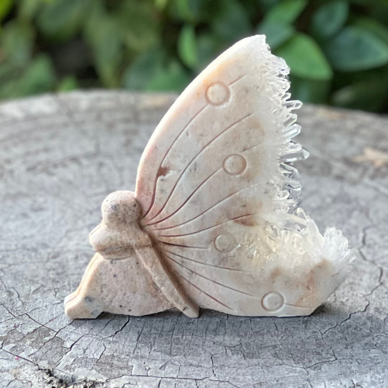 Clear Quartz Butterfly Carving (1)