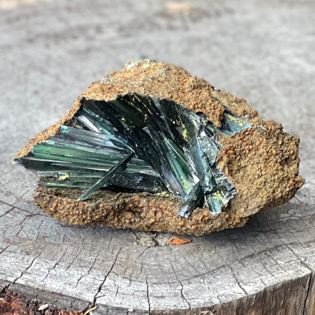 RARE… Vivianite on Matrix Specimen