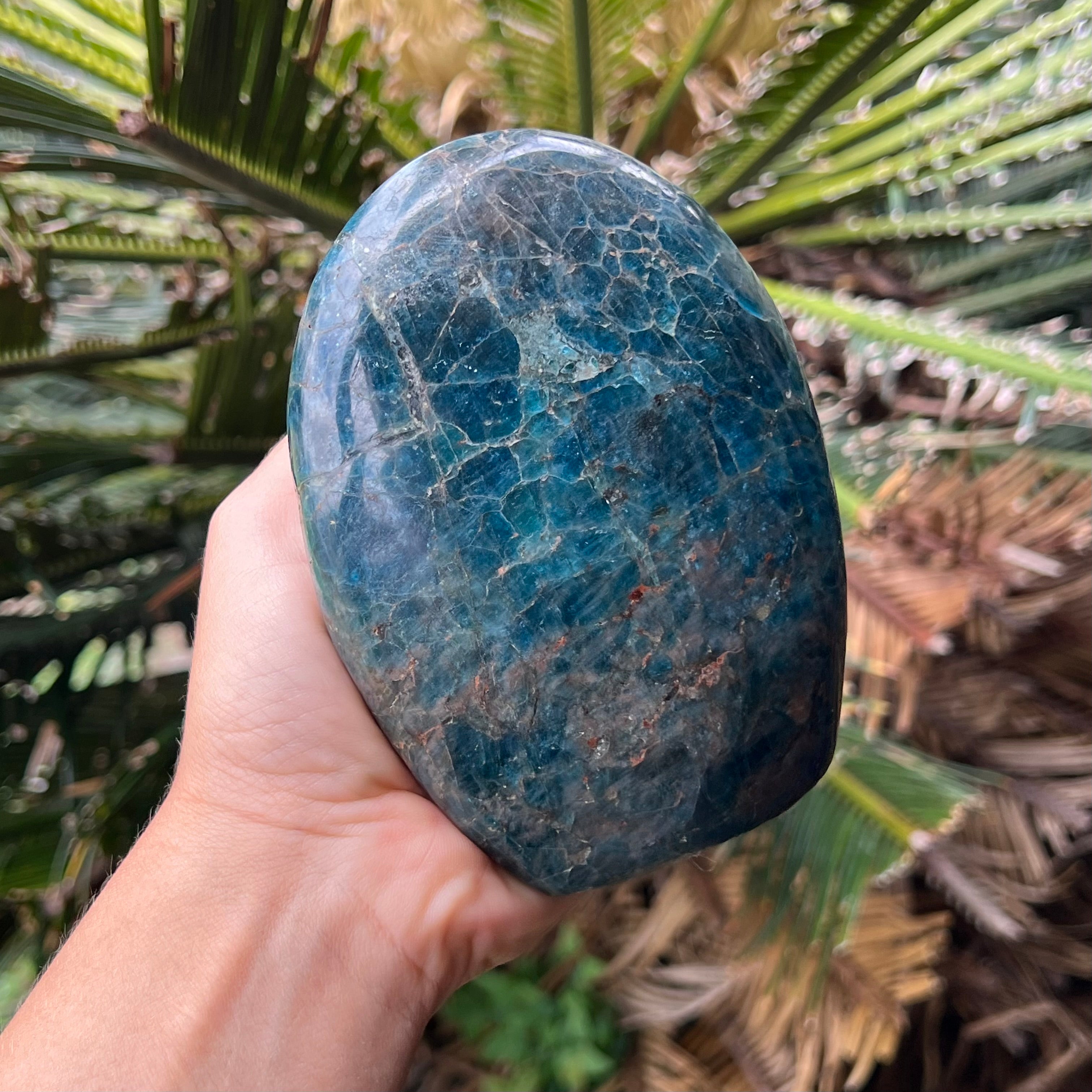 Blue Apatite Freeform