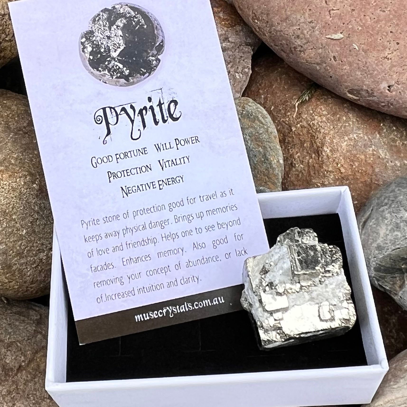 Pyrite Specimen ~ Specialty Boxed Crystal (1)