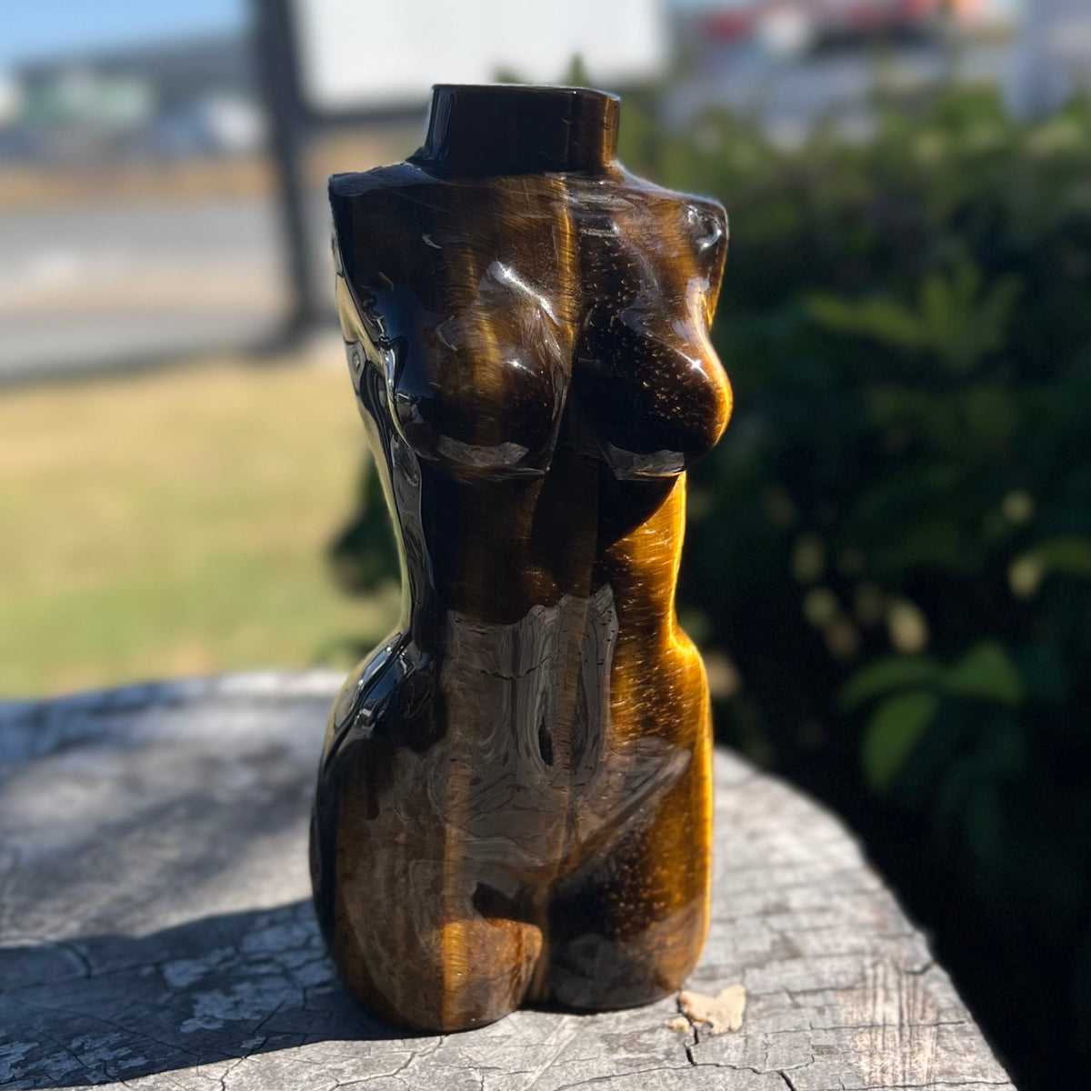 Tiger Eye ~ Woman Lady Body Carving