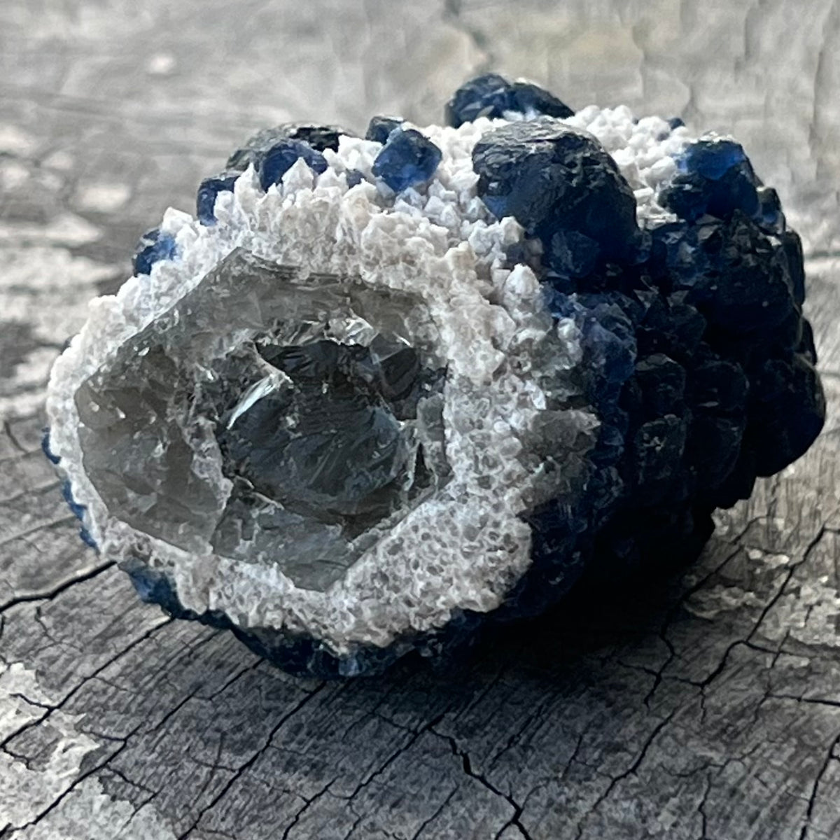 Raw Blue Fluorite ~ Specialty Boxed Crystal