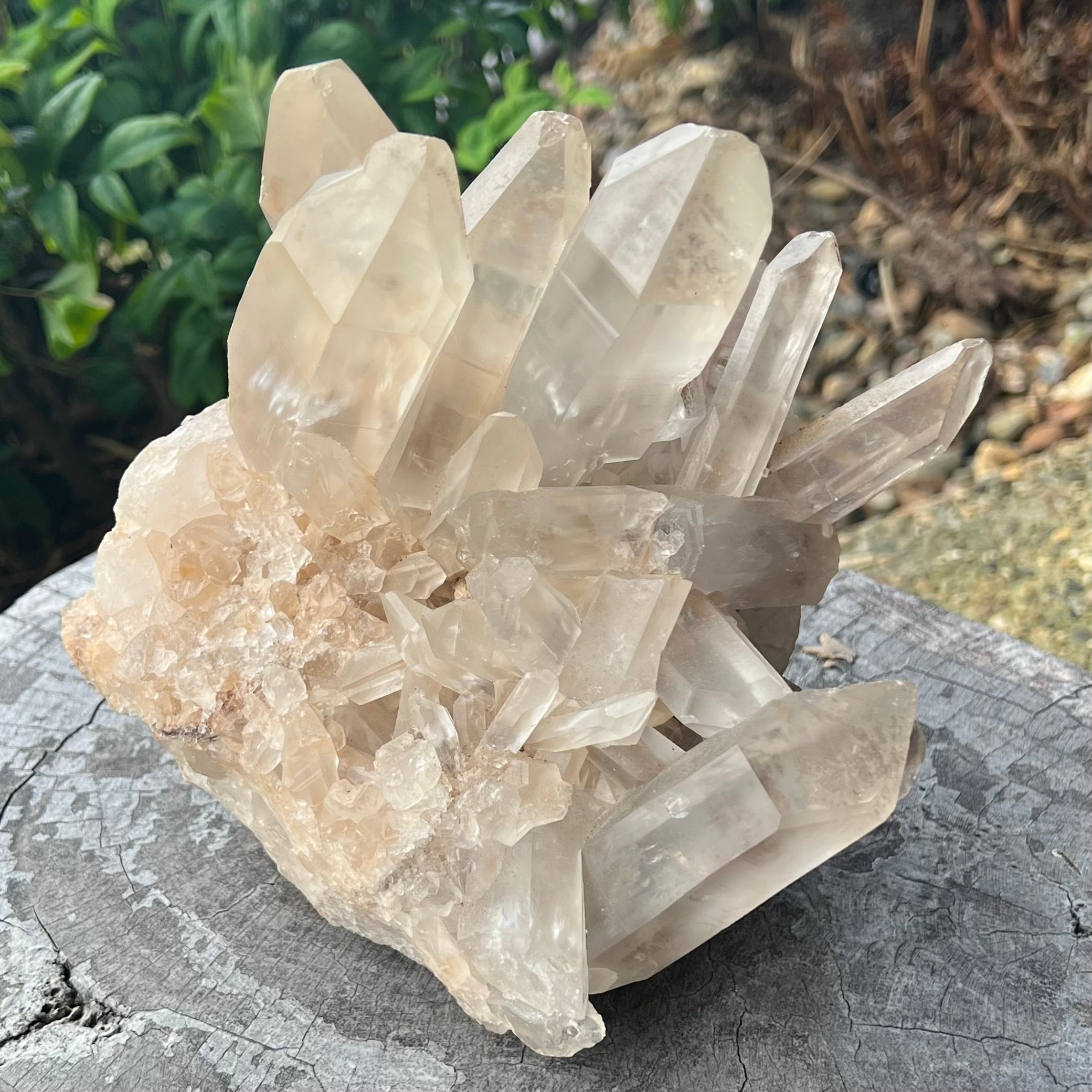 Clear Quartz Cluster