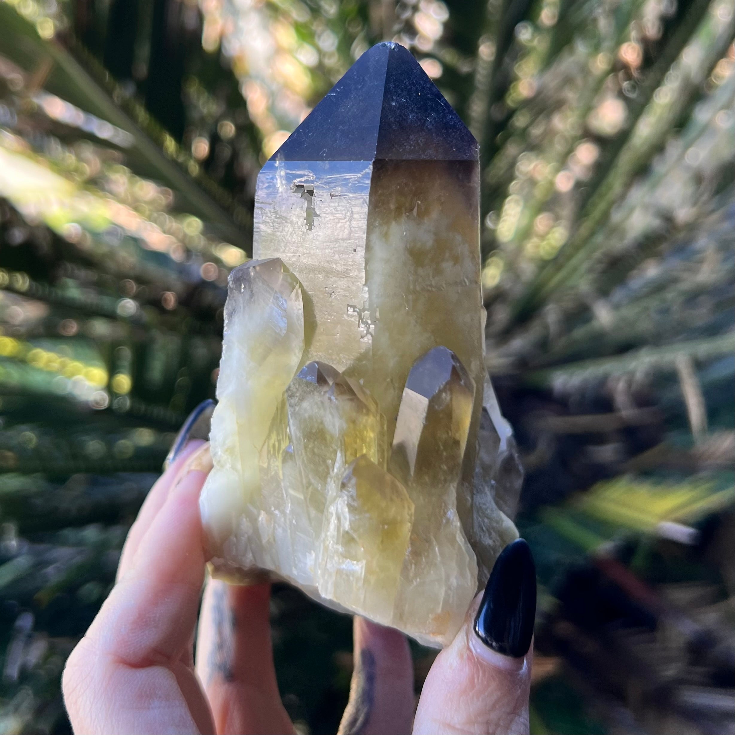 Smoky Citrine ~ Raw Point with Clusters