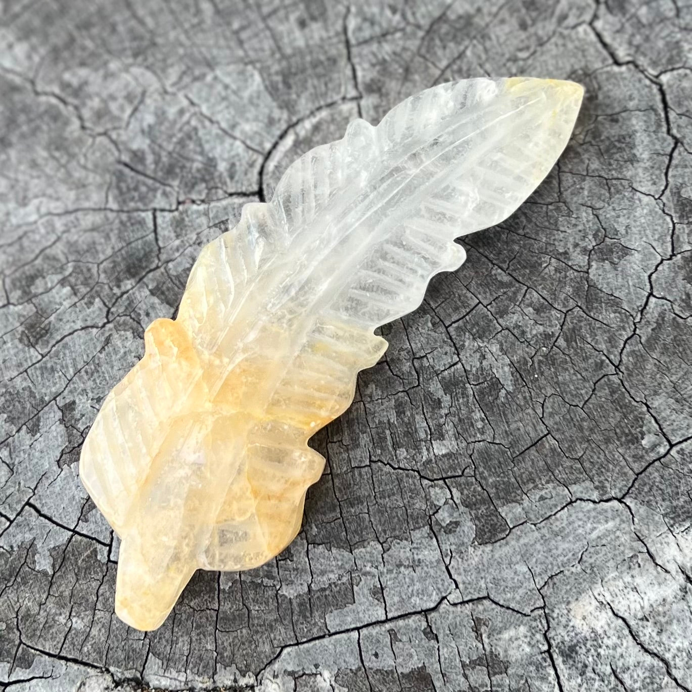 Feather of Divine Healing ~ Golden Healer