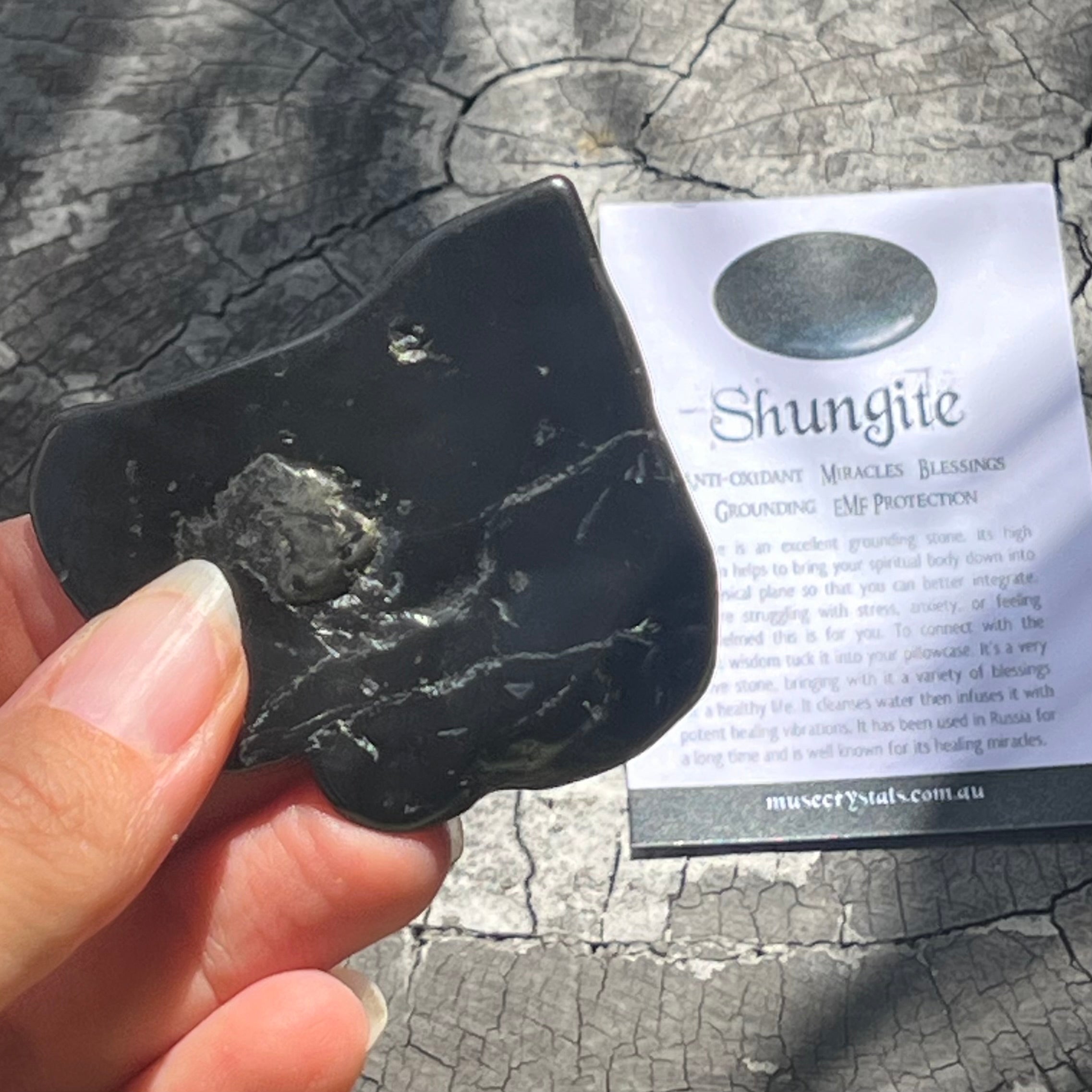 Shungite Piece