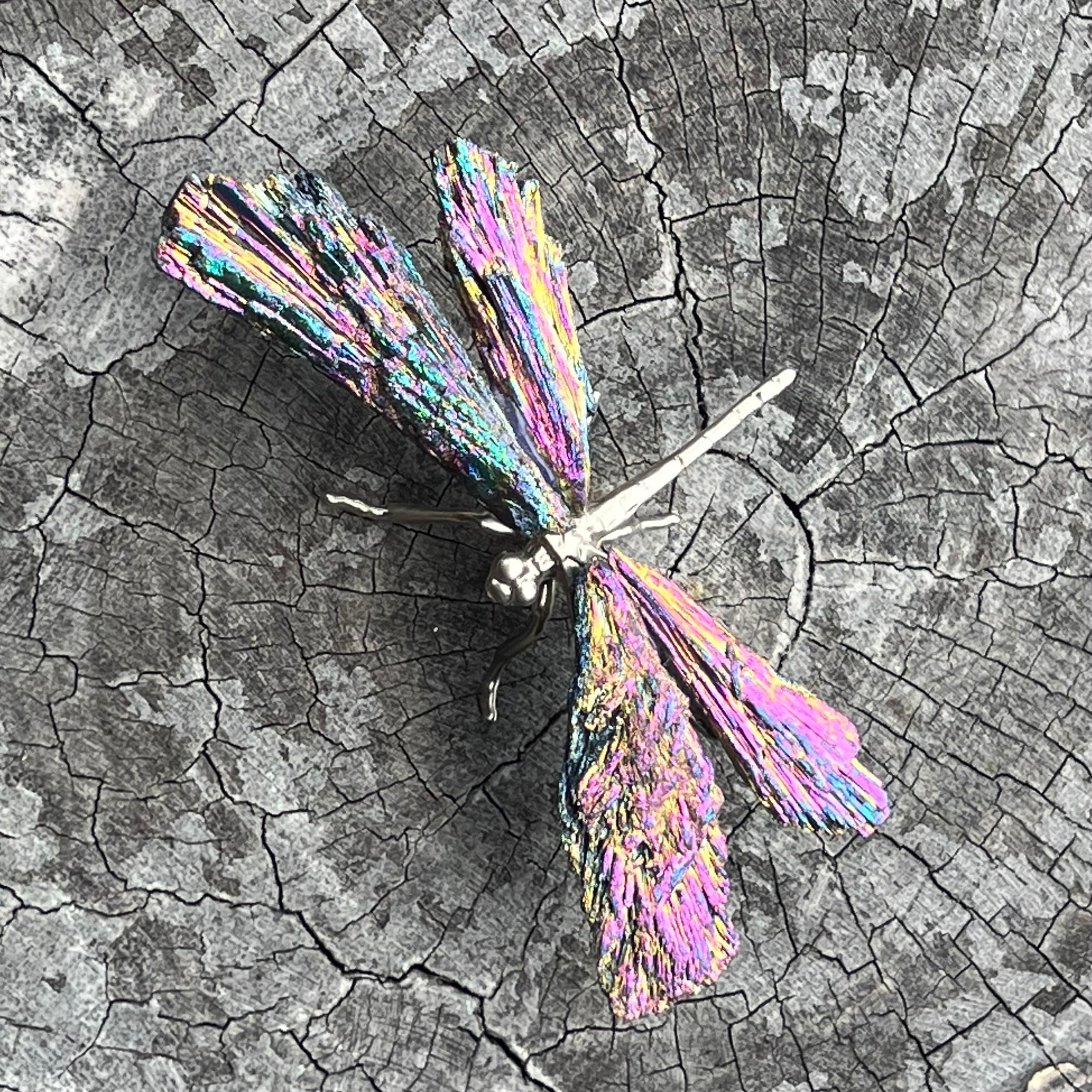 Dragon Fly ~ Rainbow Kyanite Electroplate