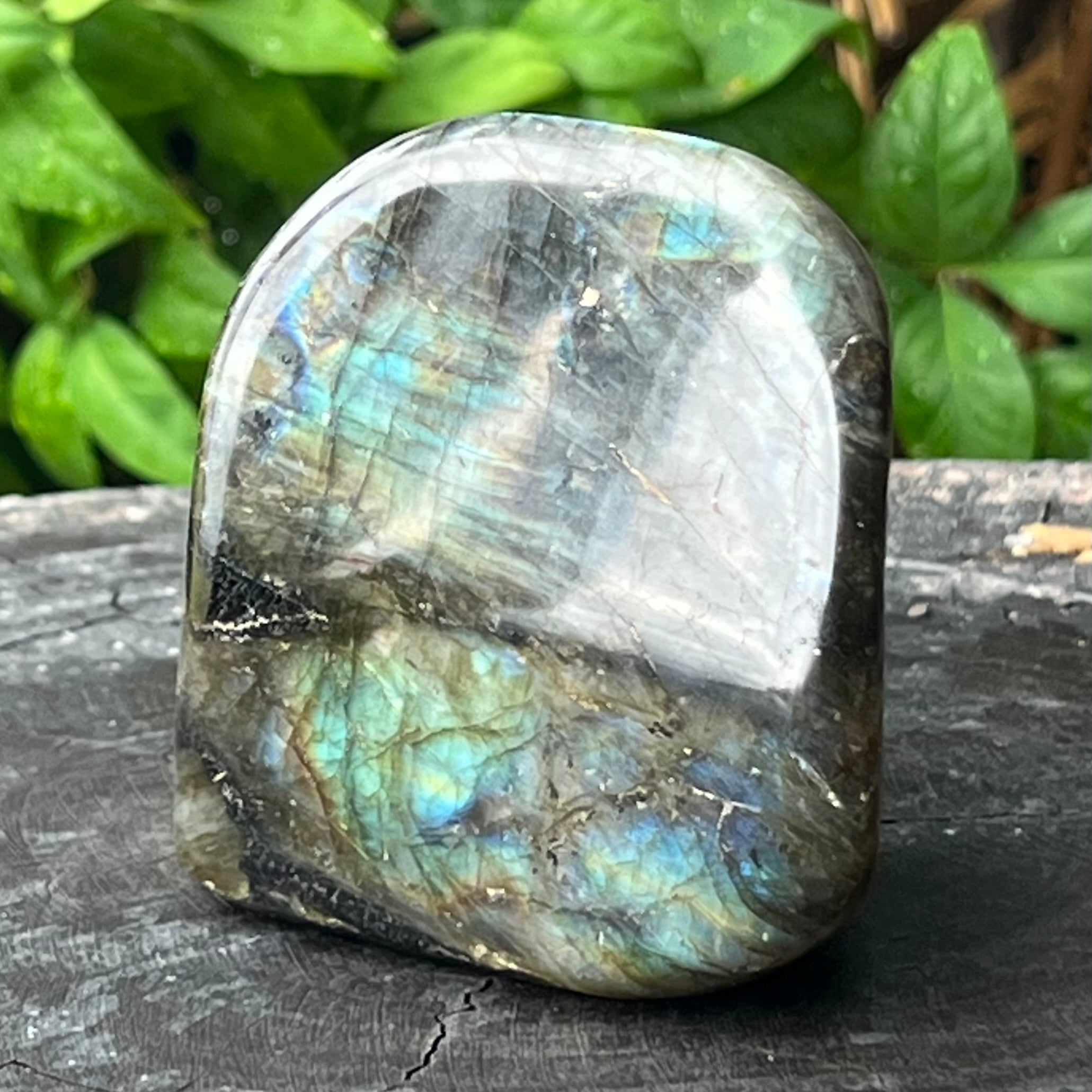 Labradorite Freeform ~ 2