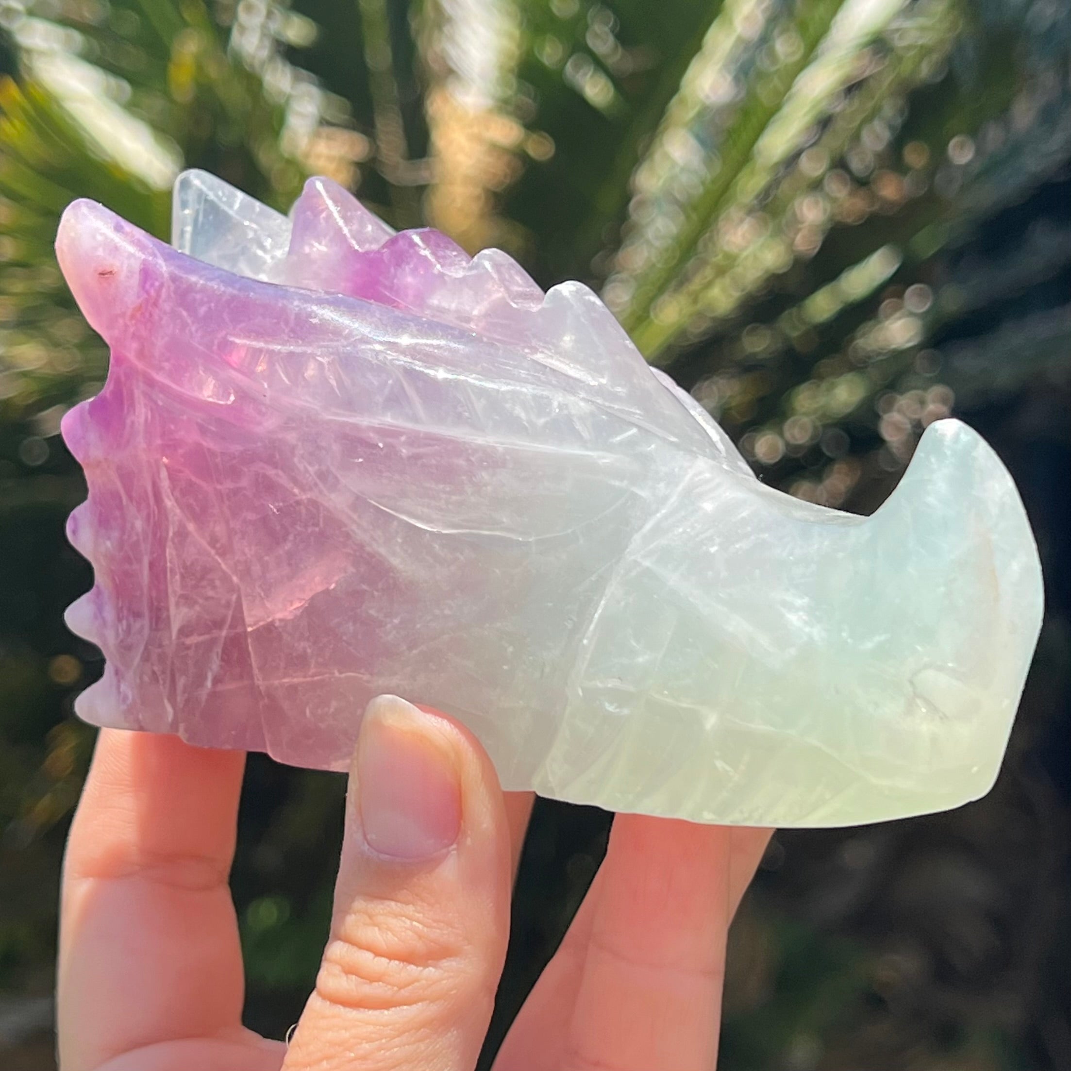 Rainbow Fluorite Dragon Head Carving