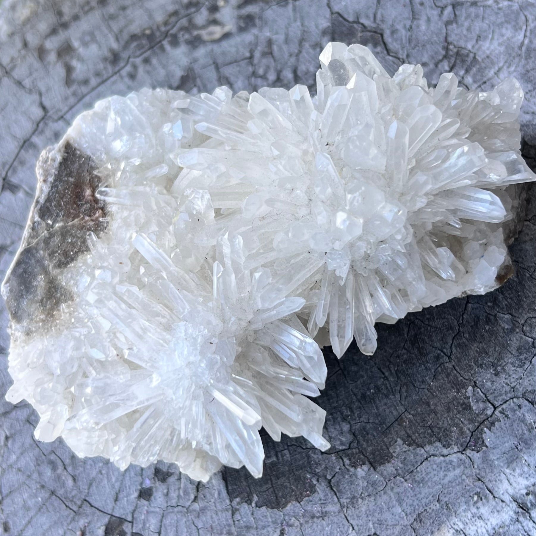 Chrysanthemum Needle Quartz ~ Cluster