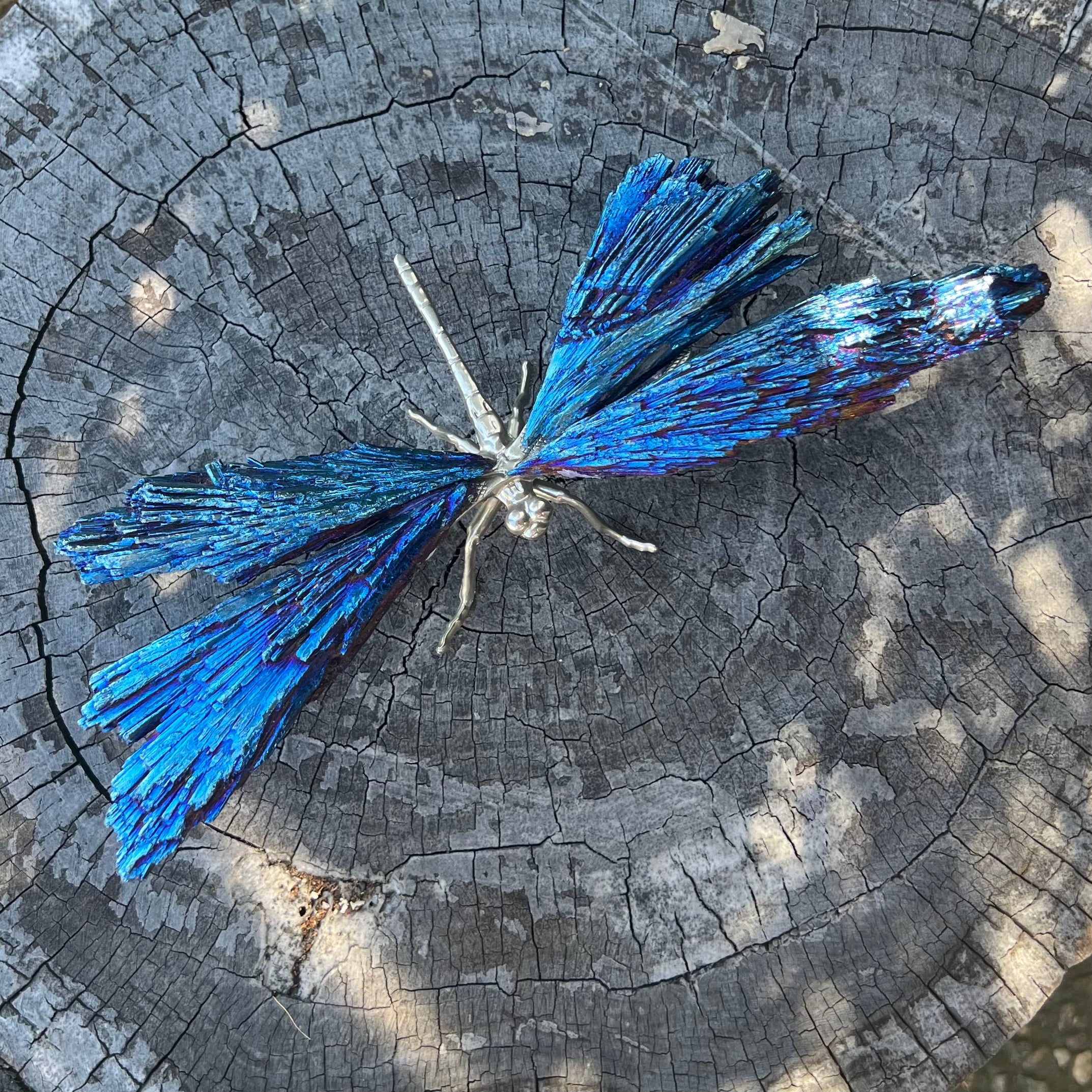 Dragonfly ~ Blue Kyanite Electroplate Large