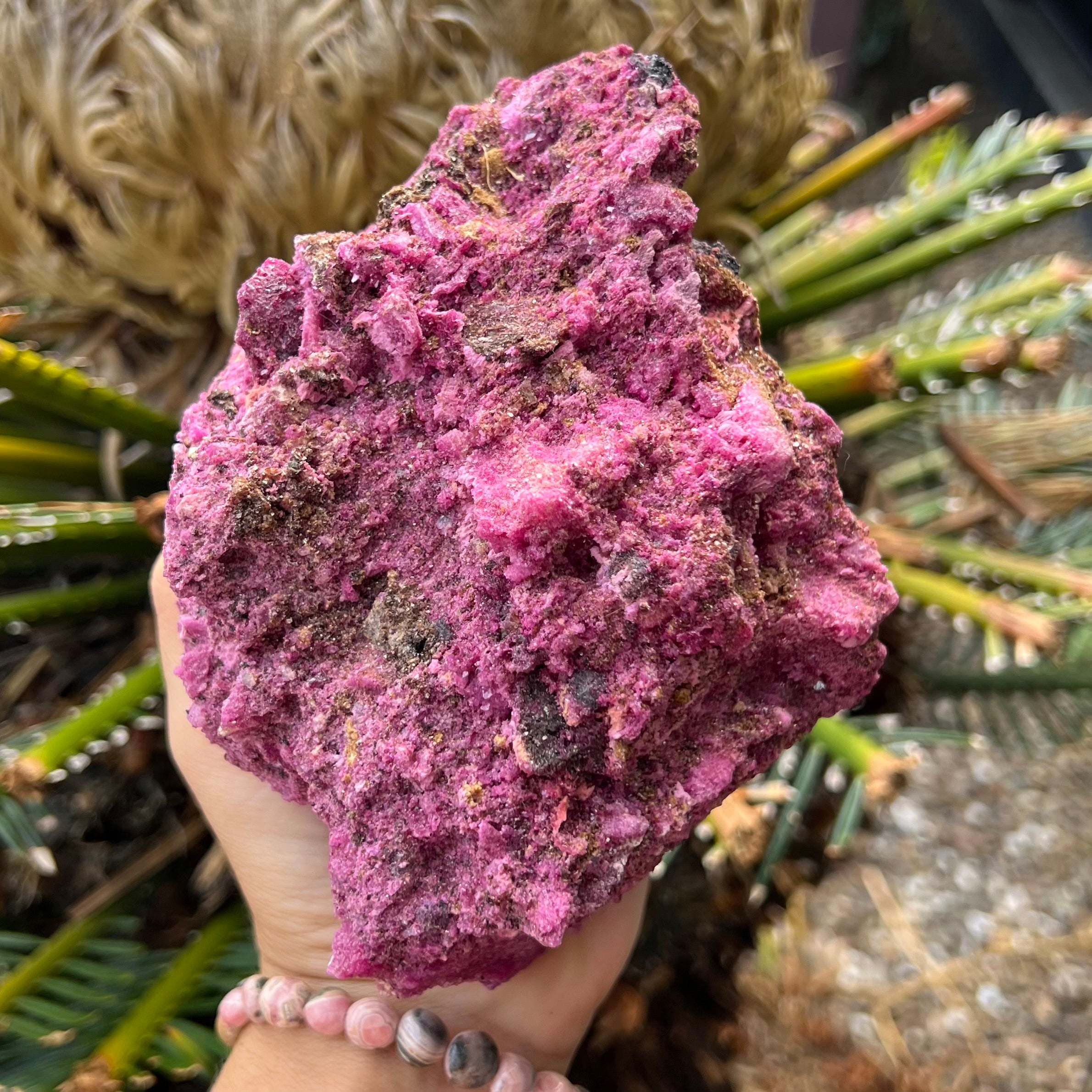 Glorious Ruby with Pyrite Specimen