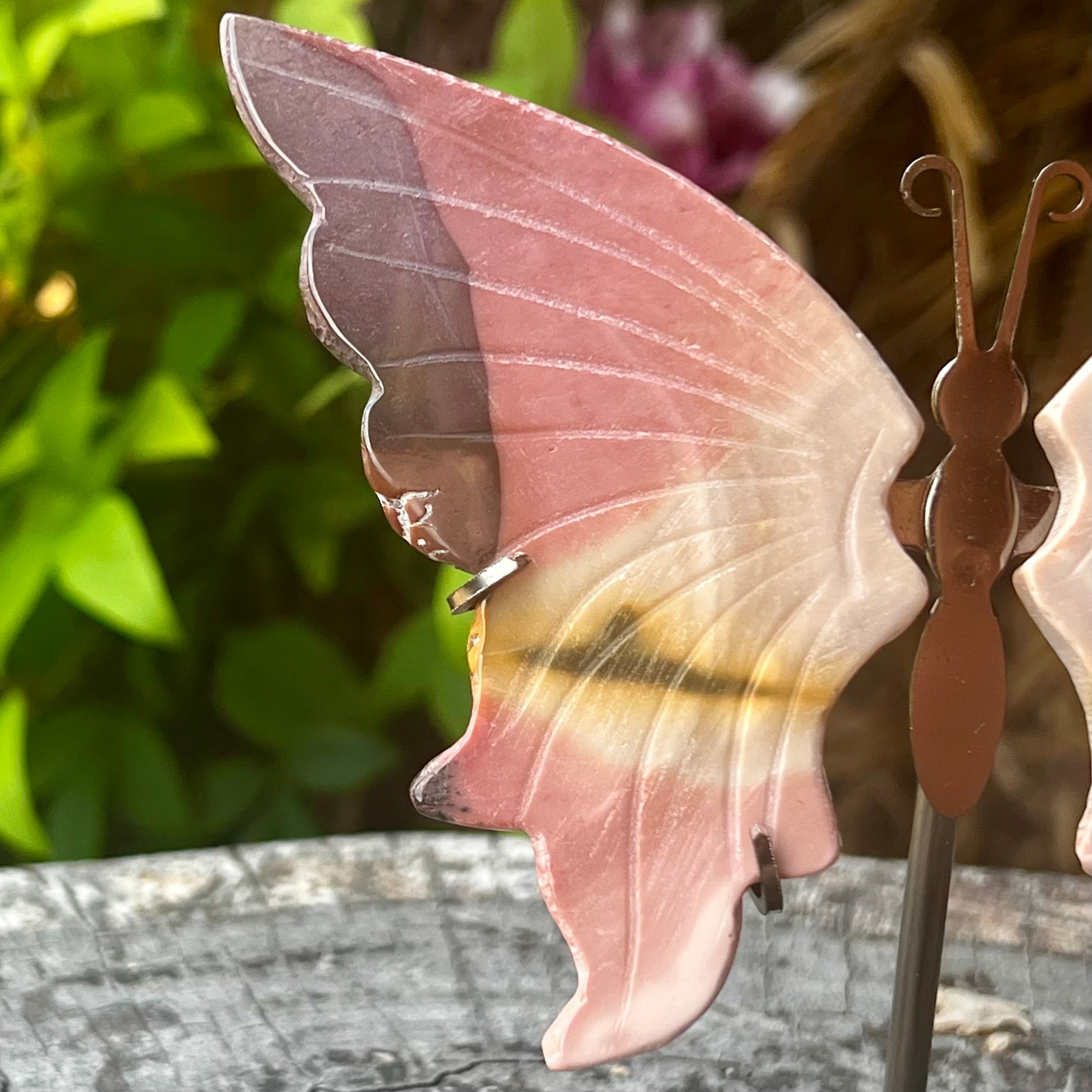 Mookaite Butterfly on Stand