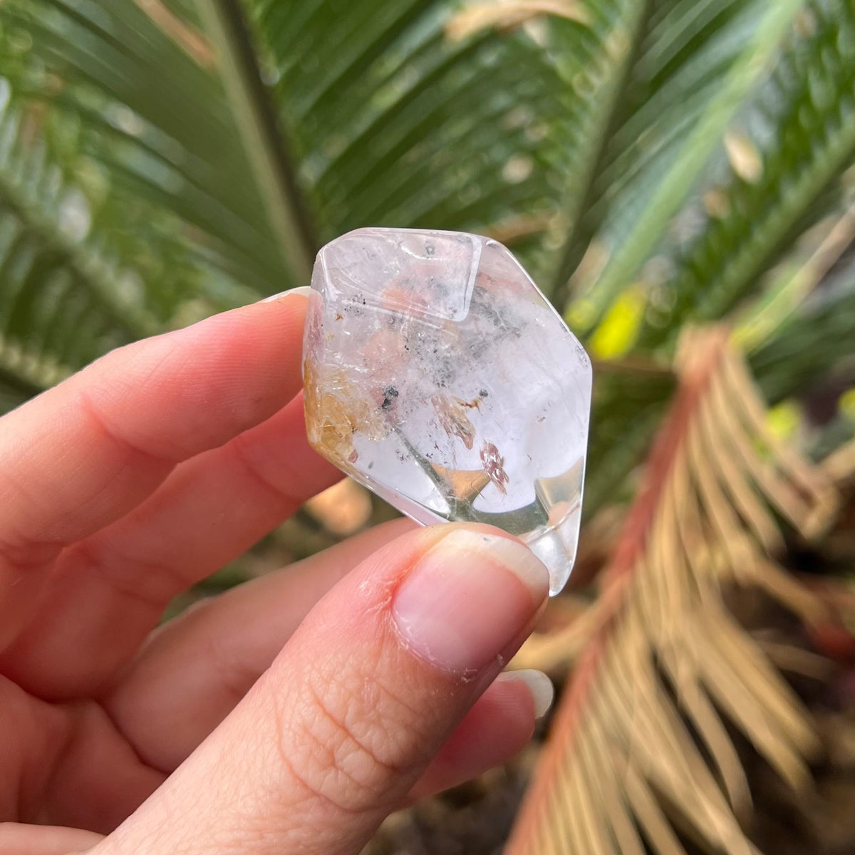 Herkimer Diamond Polished ~ Specialty Crystal ~ 1