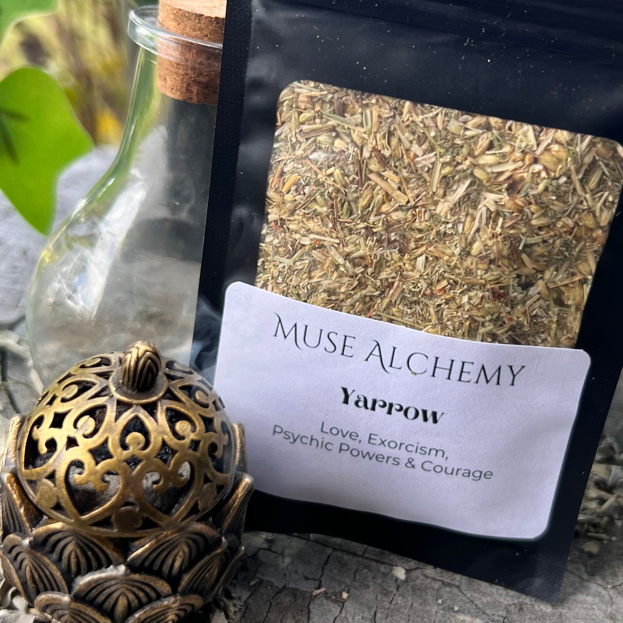 Yarrow ~ Muse Alchemy Botanicals