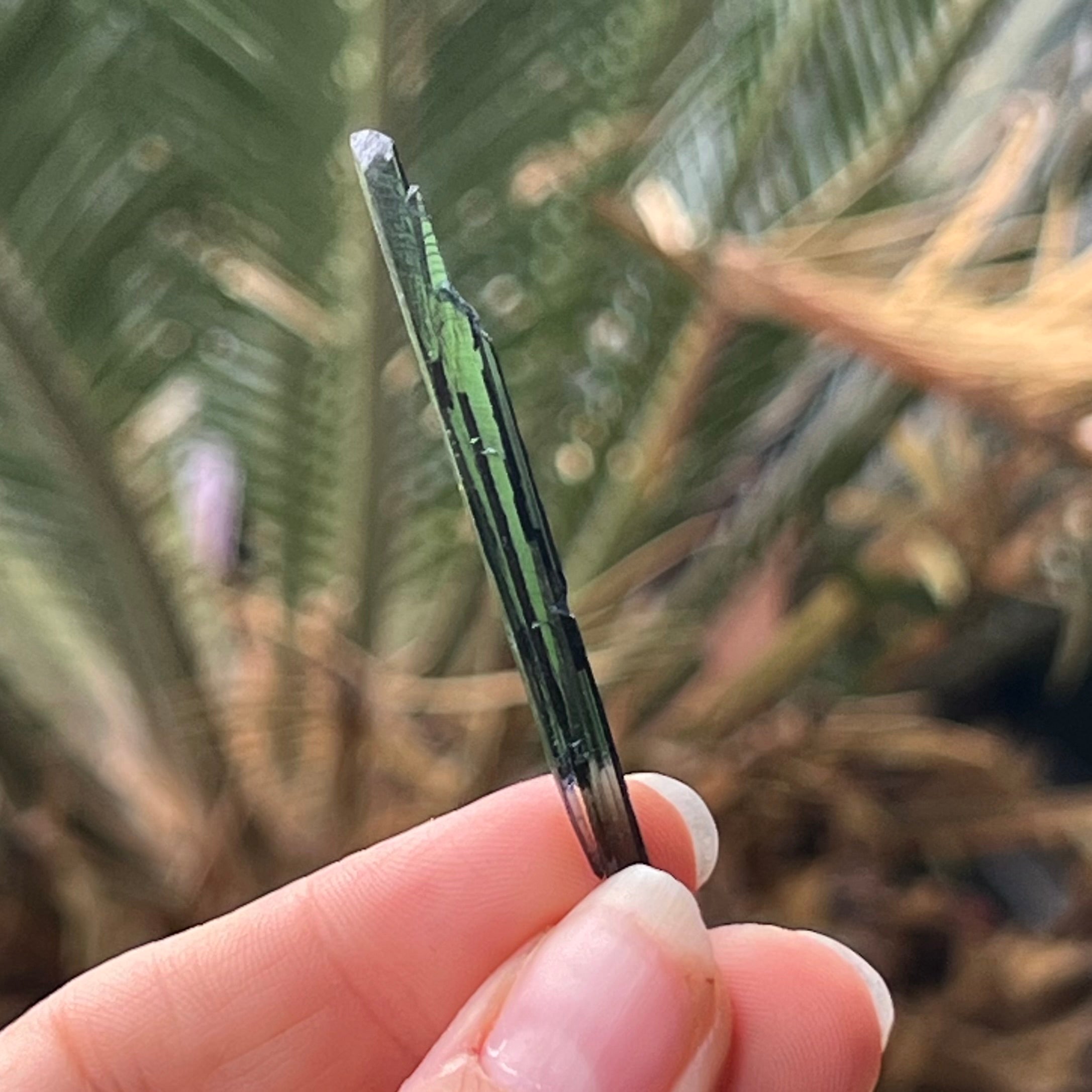 Vivianite Specimen