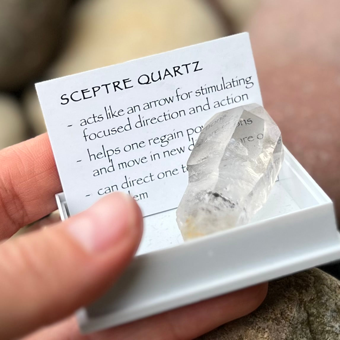 Sceptre Quartz~ Specialty Boxed Crystal
