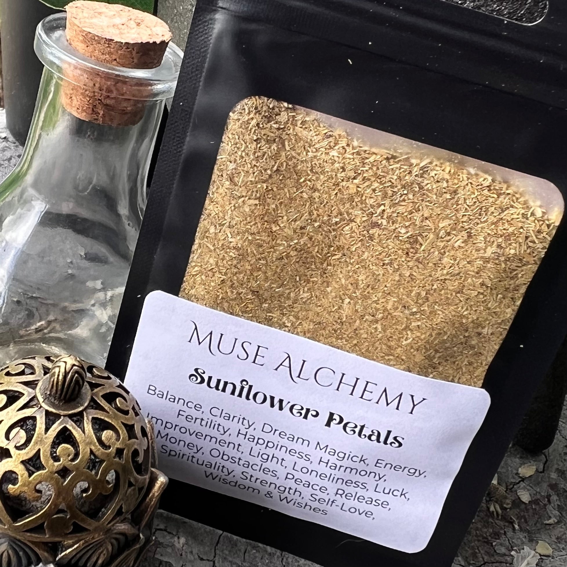 Sunflower Petals ~ Muse Alchemy Botanicals