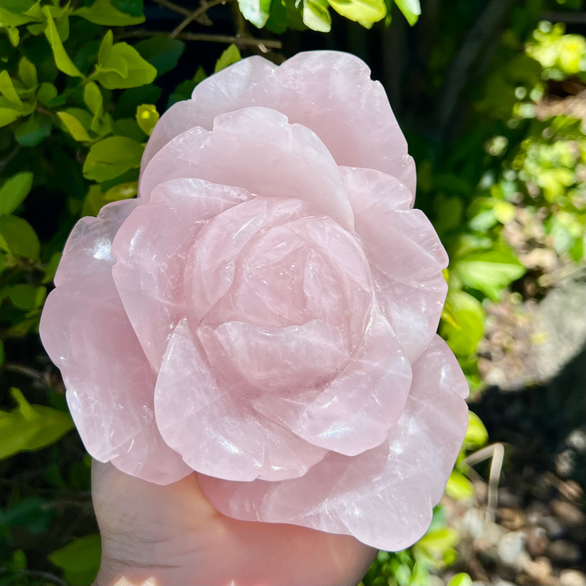 Rose Quartz Rose Carving - Large