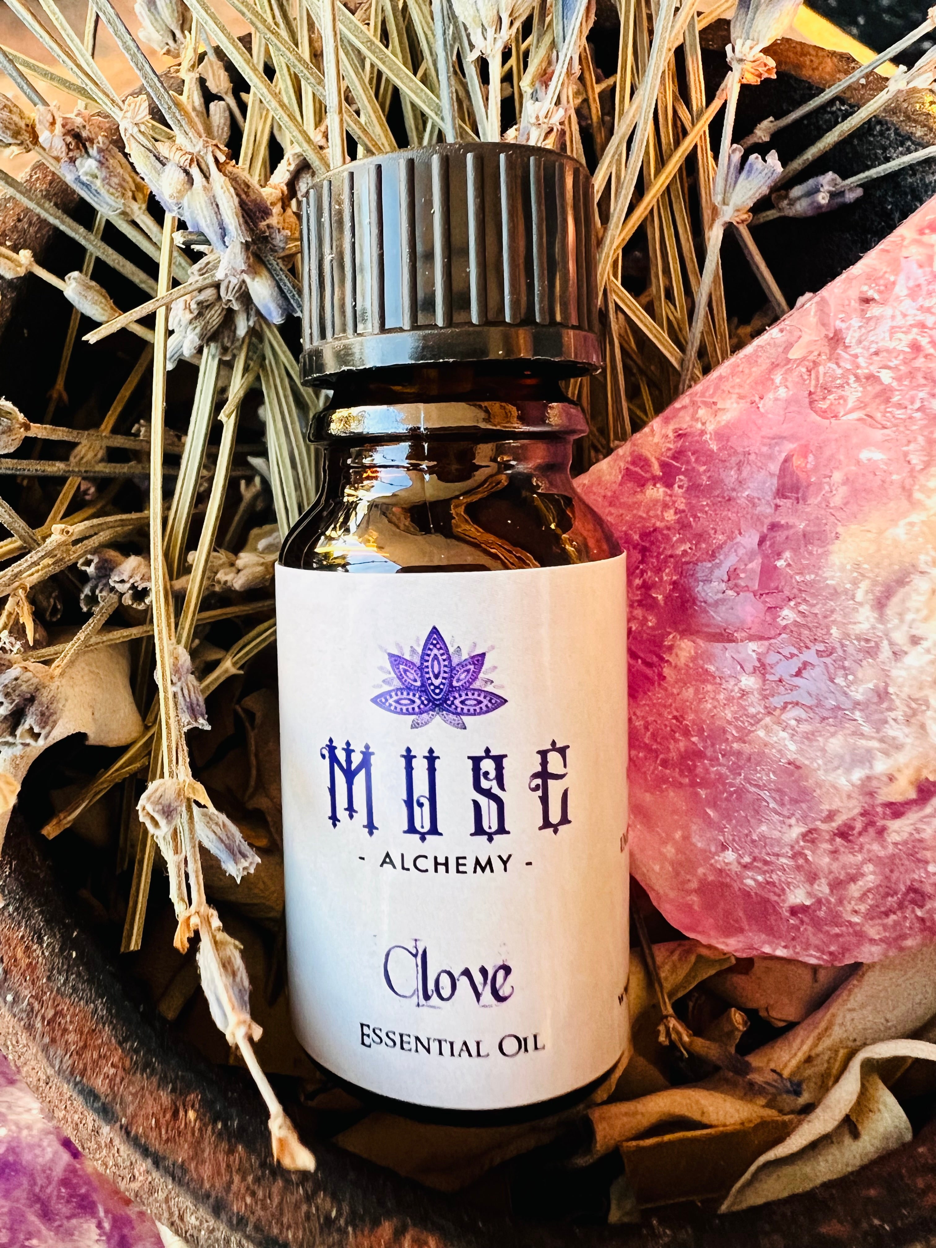 Muse Alchemy ~ Clove Essential Oil 10ml