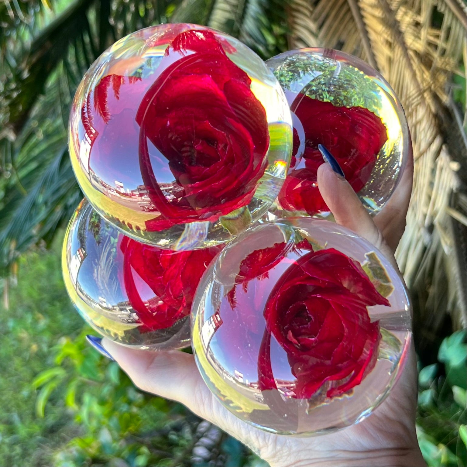 Red Rose Everlasting Flower Sphere