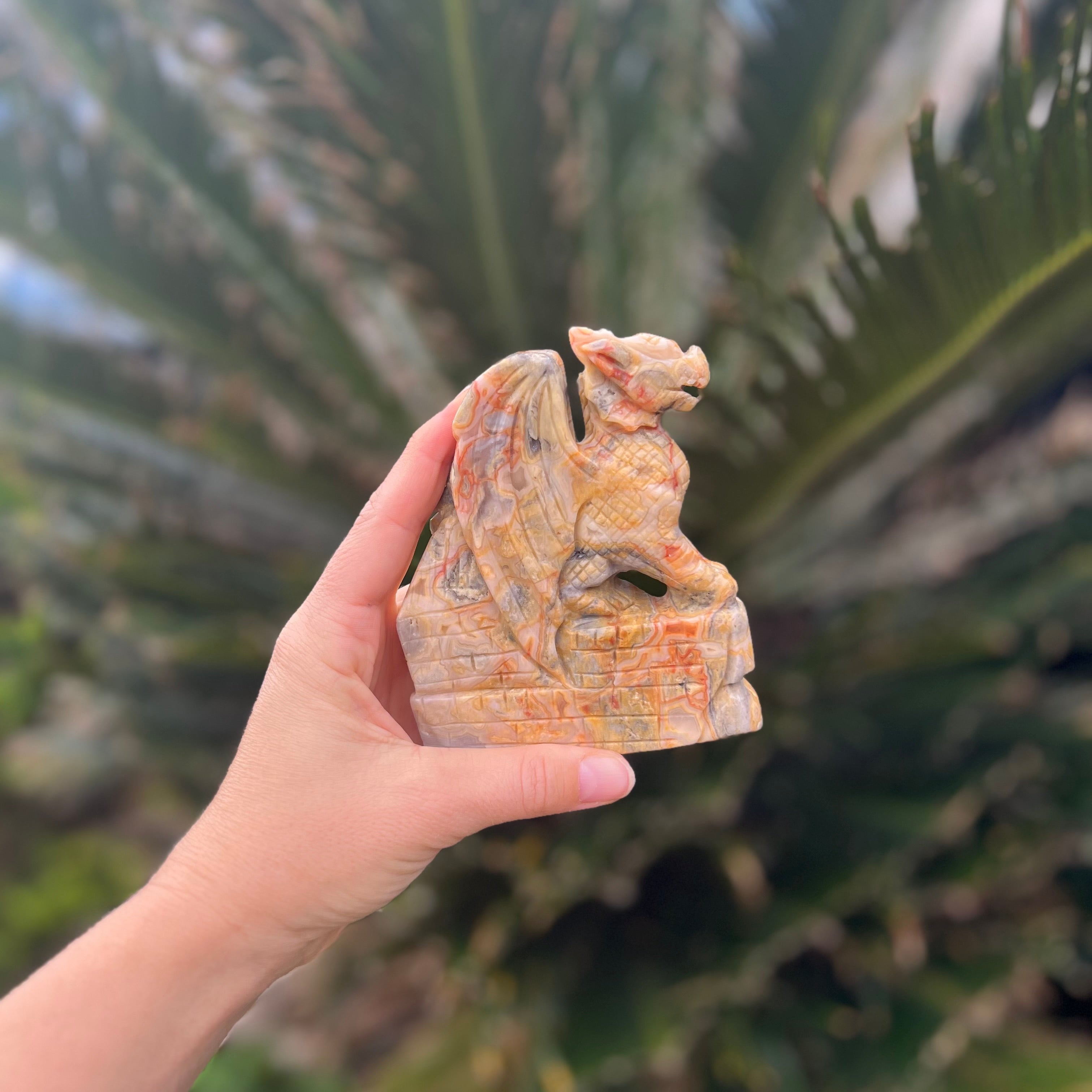 Dragon Carving ~ Crazy Lace Agate