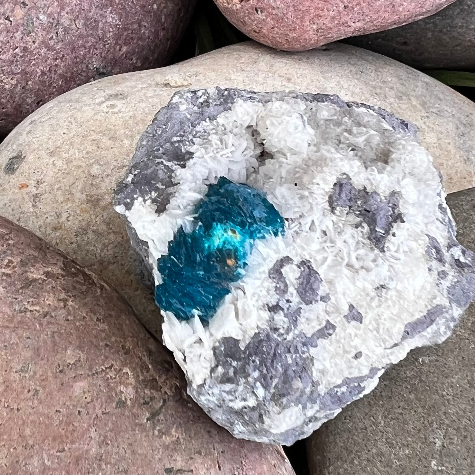 Cavanasite Specimen on Matrix