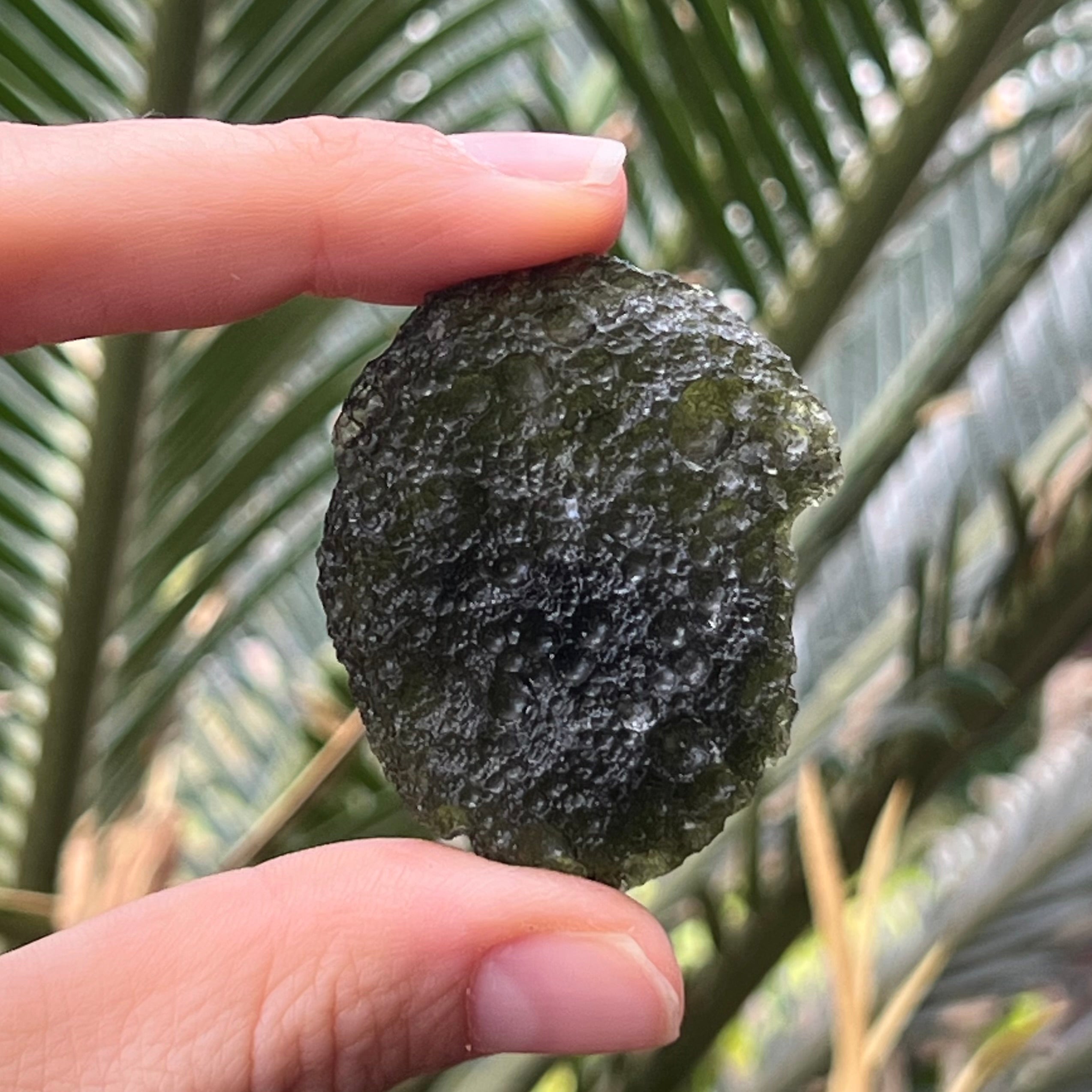 Raw Moldavite Specimen ~ RARE