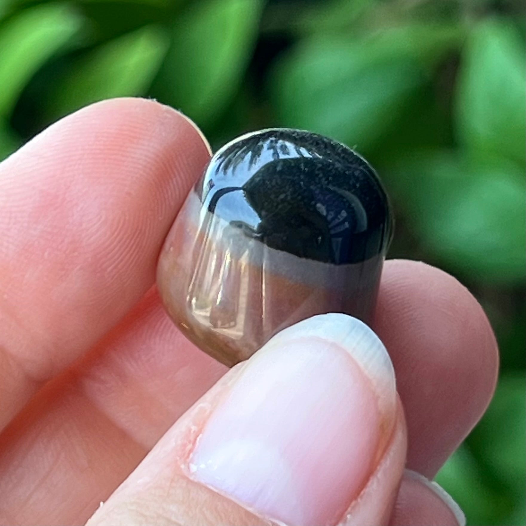 Eye Agate ~ Specialty Boxed Crystal