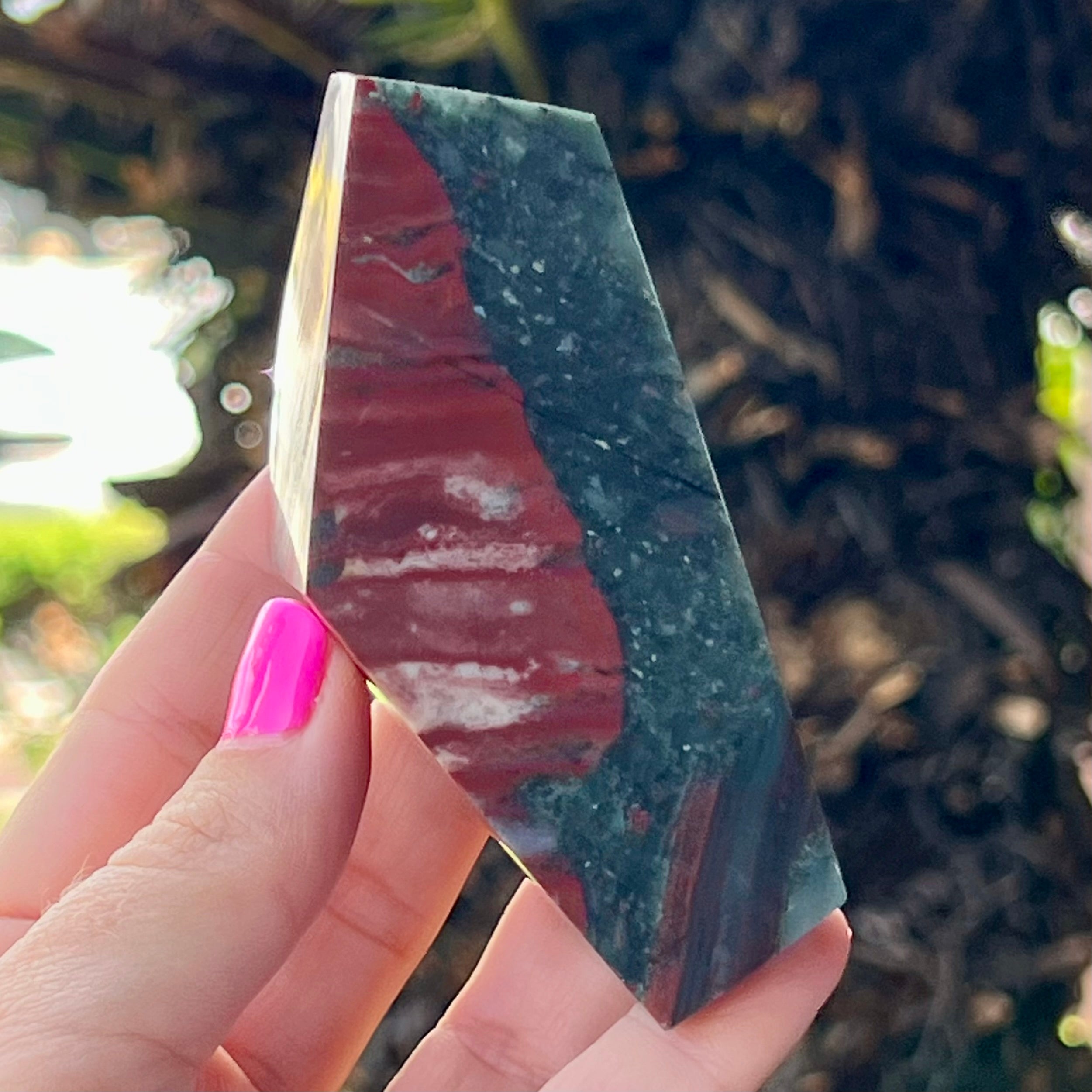 Bloodstone Polished Freeform
