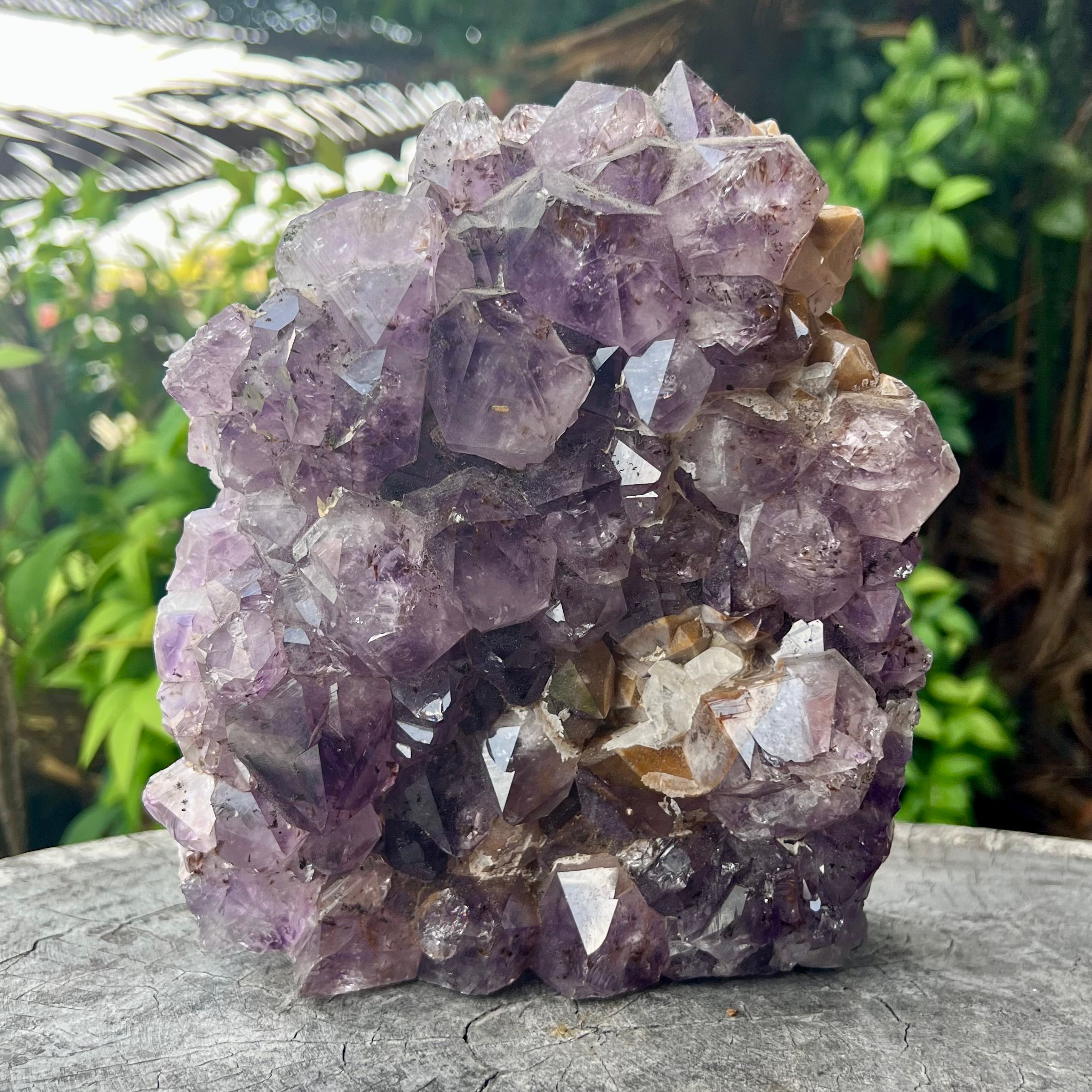 Amethyst Standing Cluster