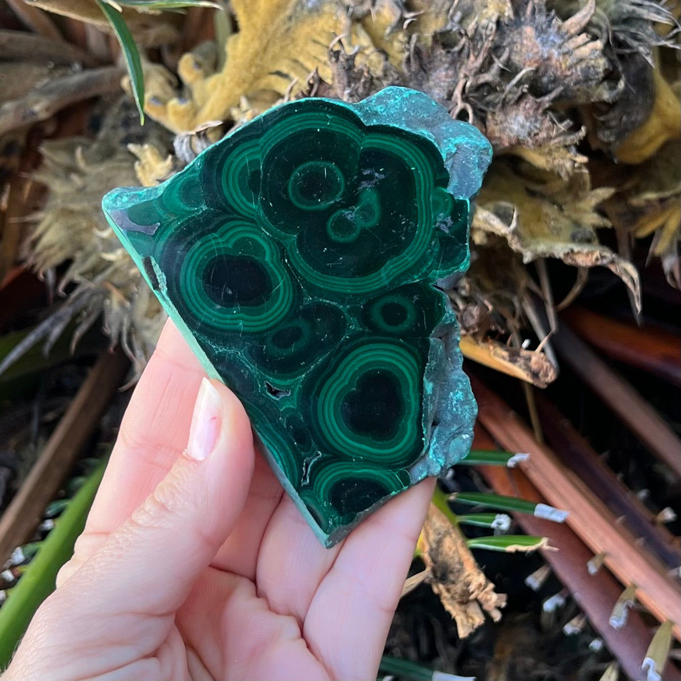 Malachite Slab ~ Transformation