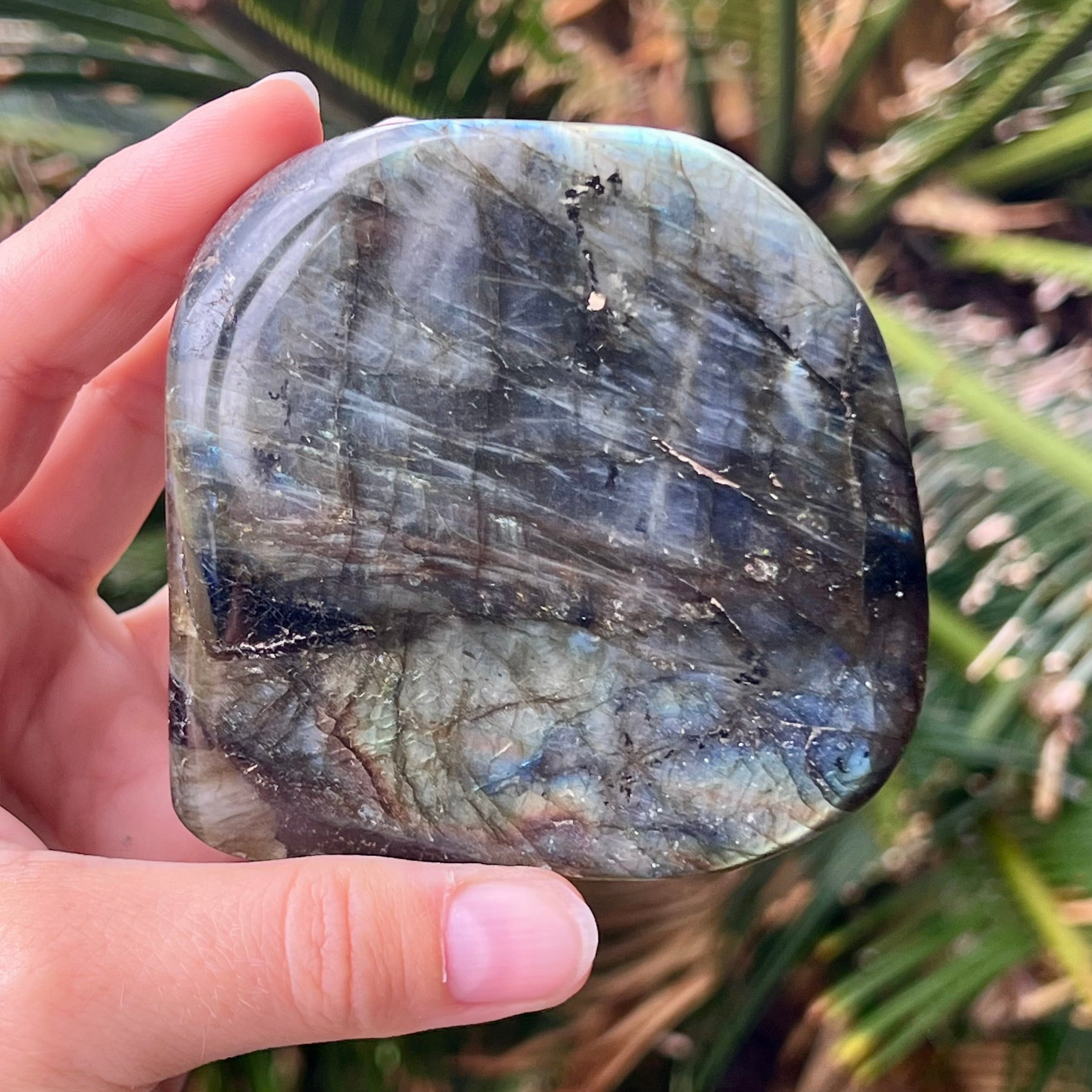 Labradorite Freeform ~ 2