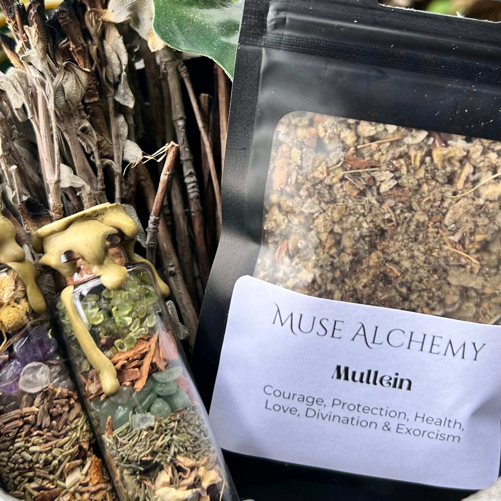 Mullien ~ Muse Alchemy Botanicals