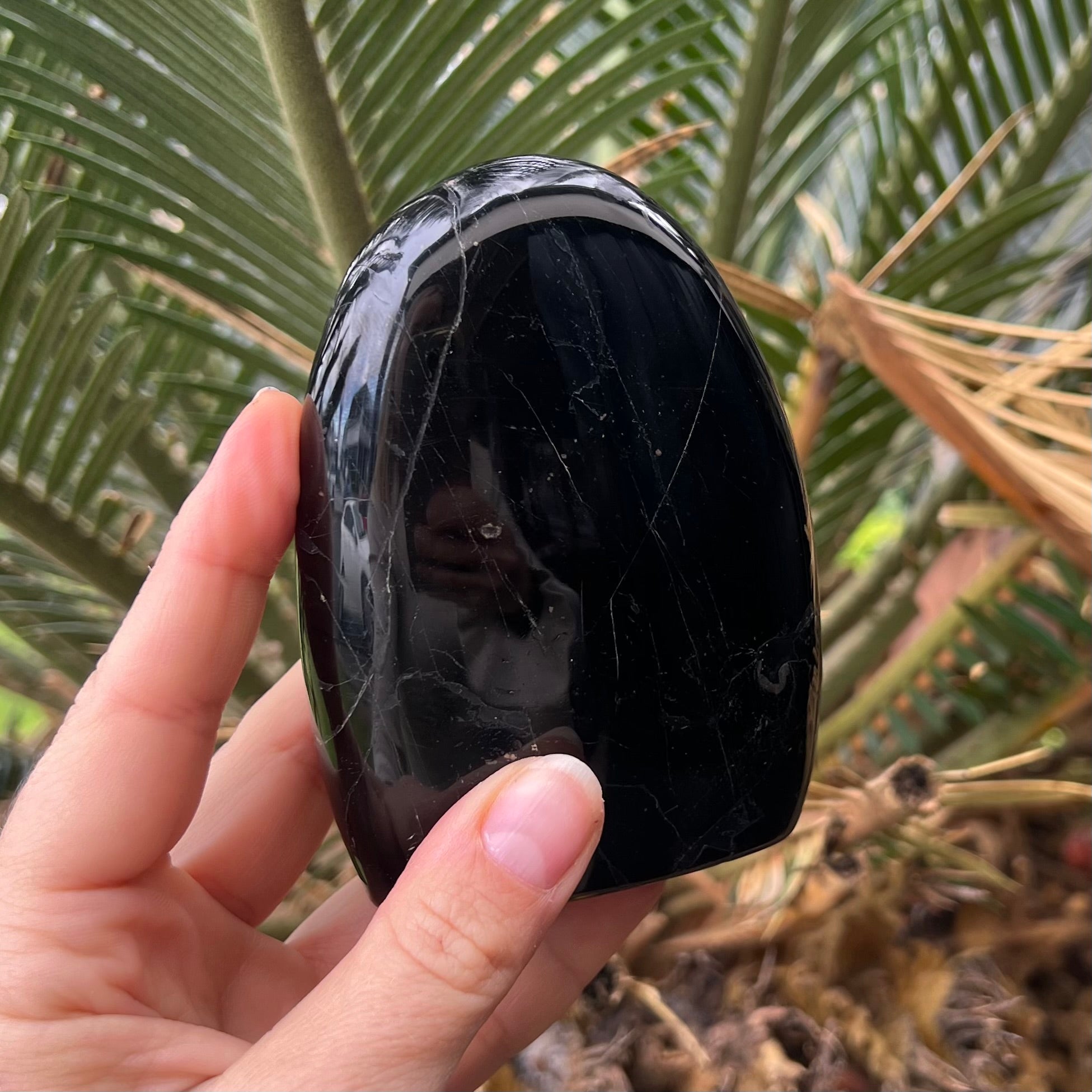 Black Tourmaline Freeform ~ 1