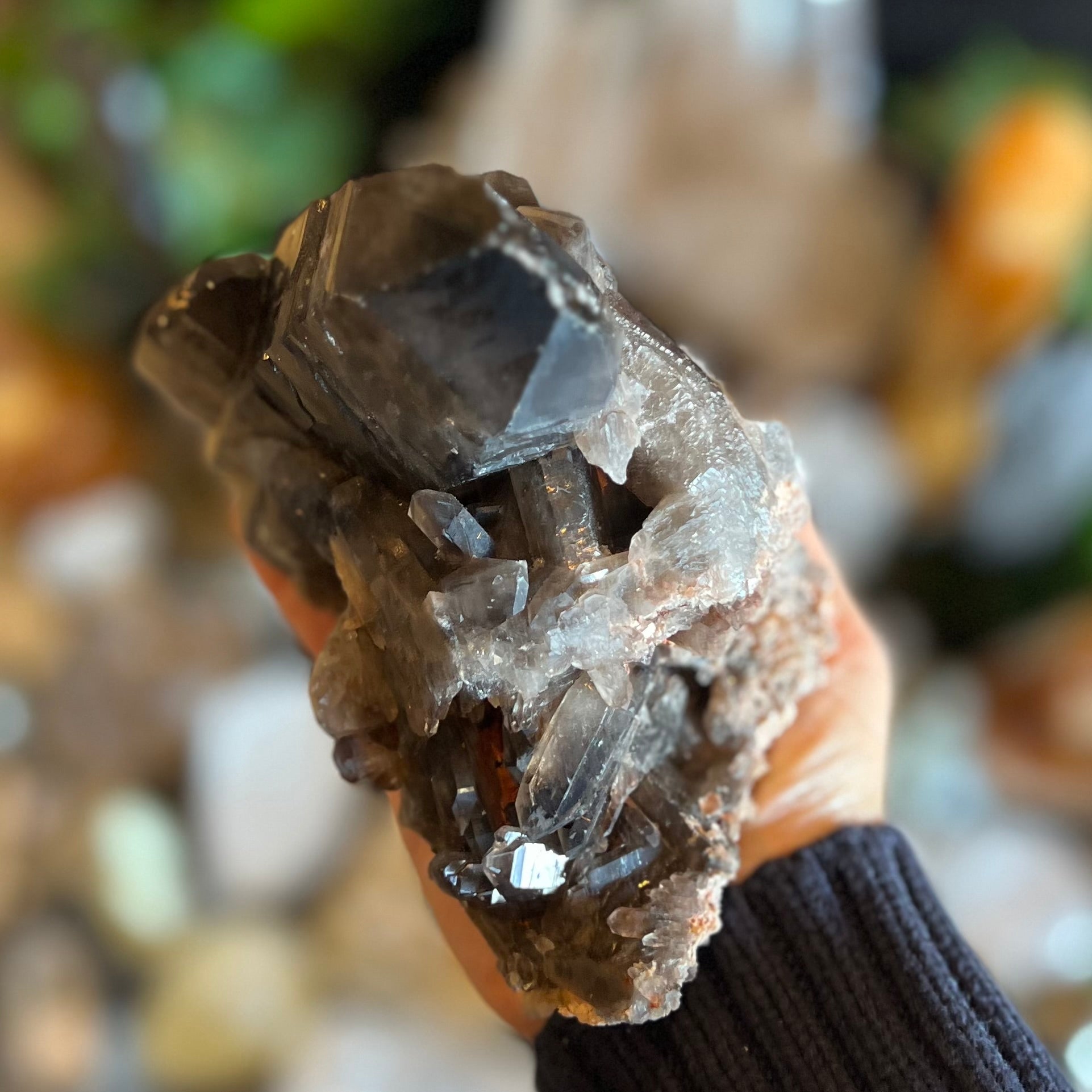 Specular Smokey Quartz Cluster