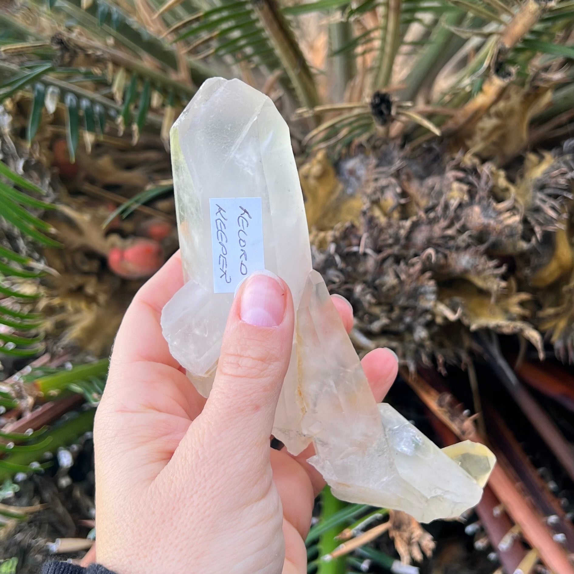Clear Quartz Record Keeper Cluster