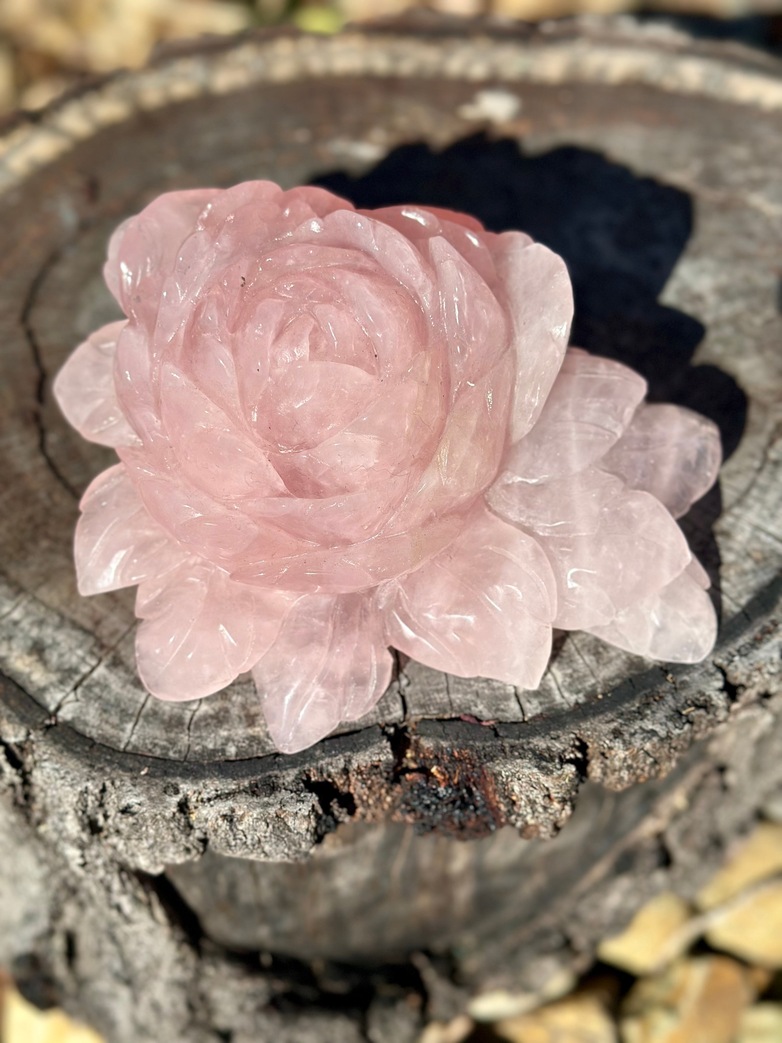 Rose Quartz Rose Carving - Large