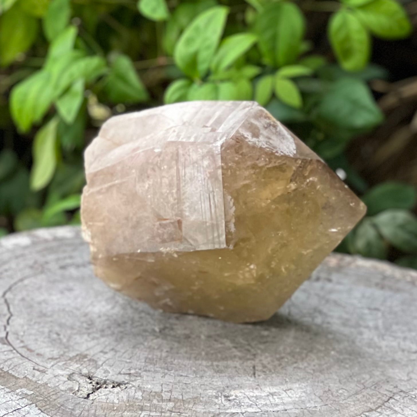Citrine Semi Raw Point