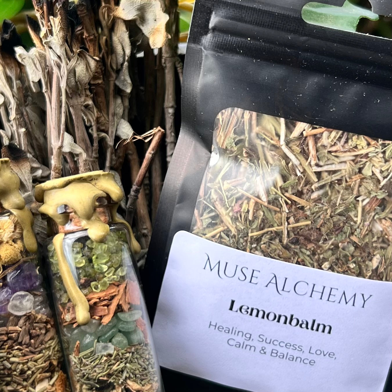 Lemon Balm ~ Muse Alchemy Botanicals