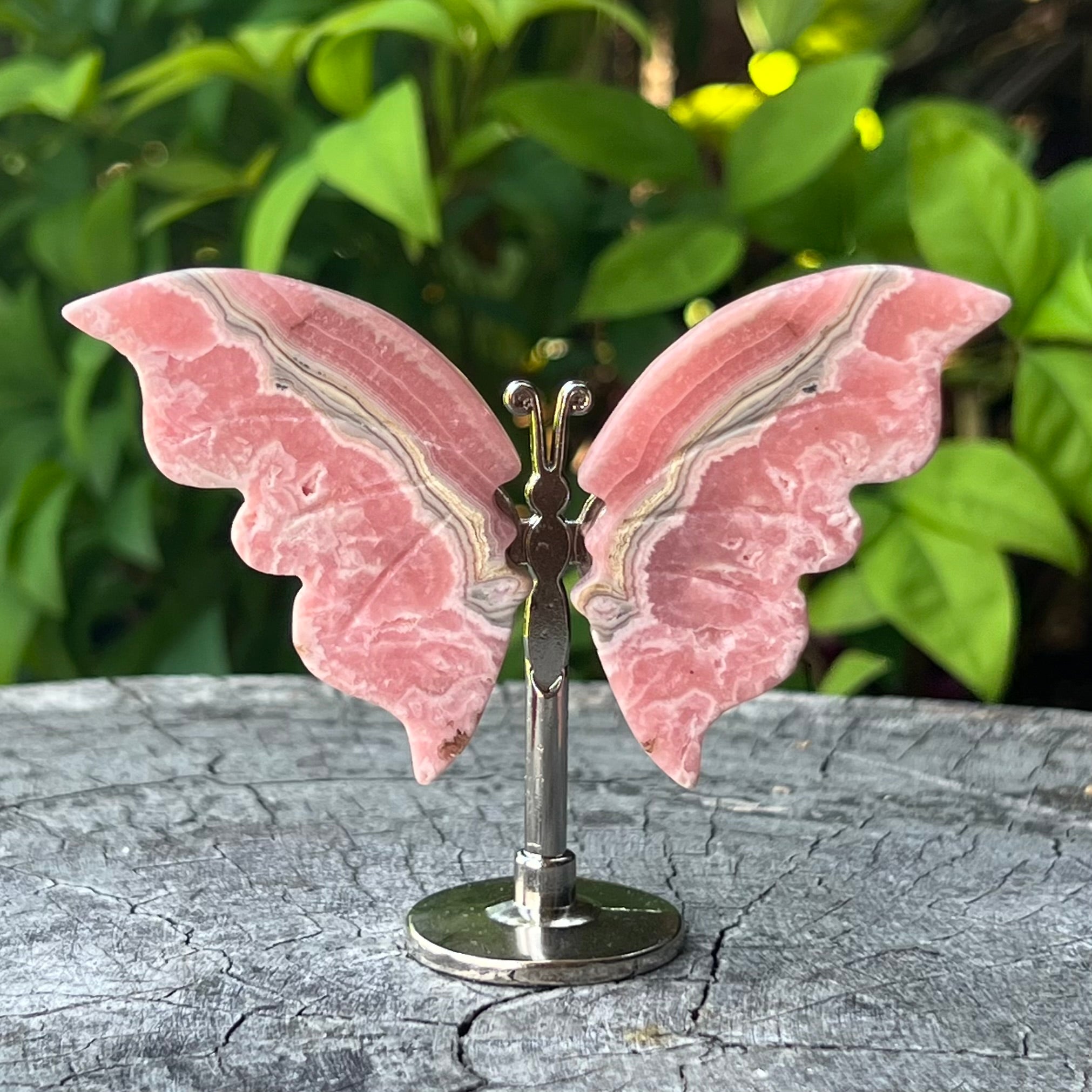 Mini Rhodochrosite Butterfly on Stand