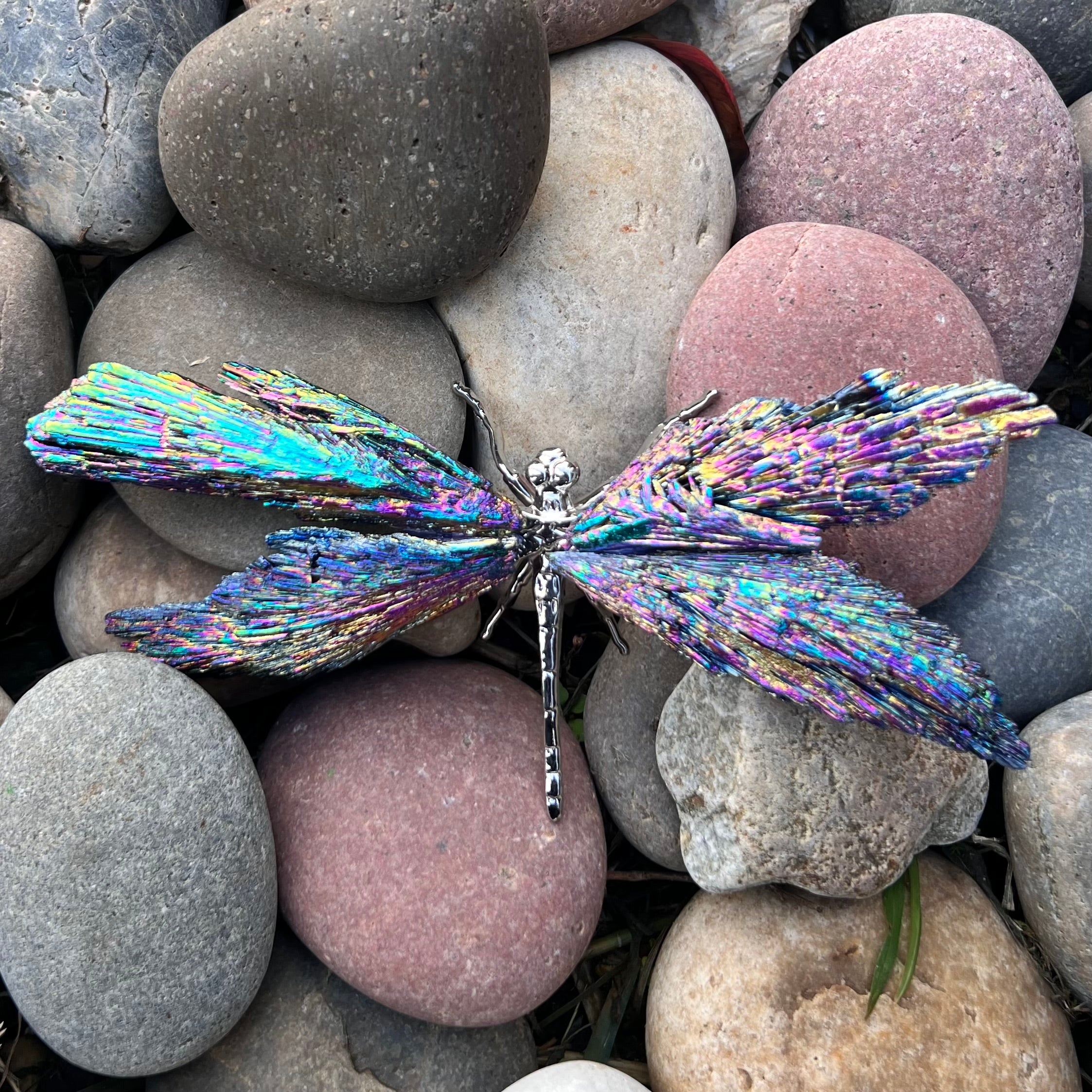 Dragon Fly ~ Rainbow Kyanite Electroplate