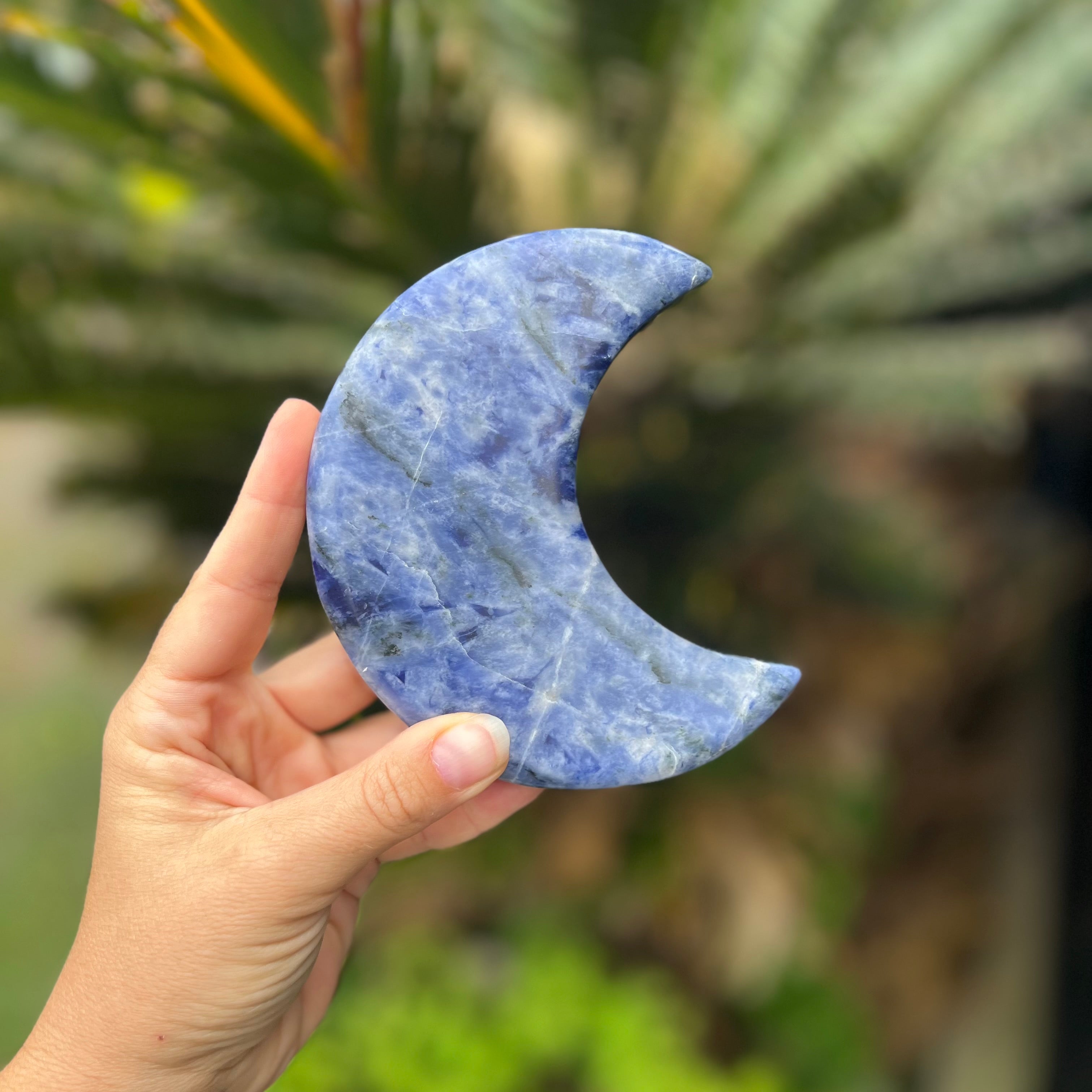 Dumortierite Crescent Moon Carving