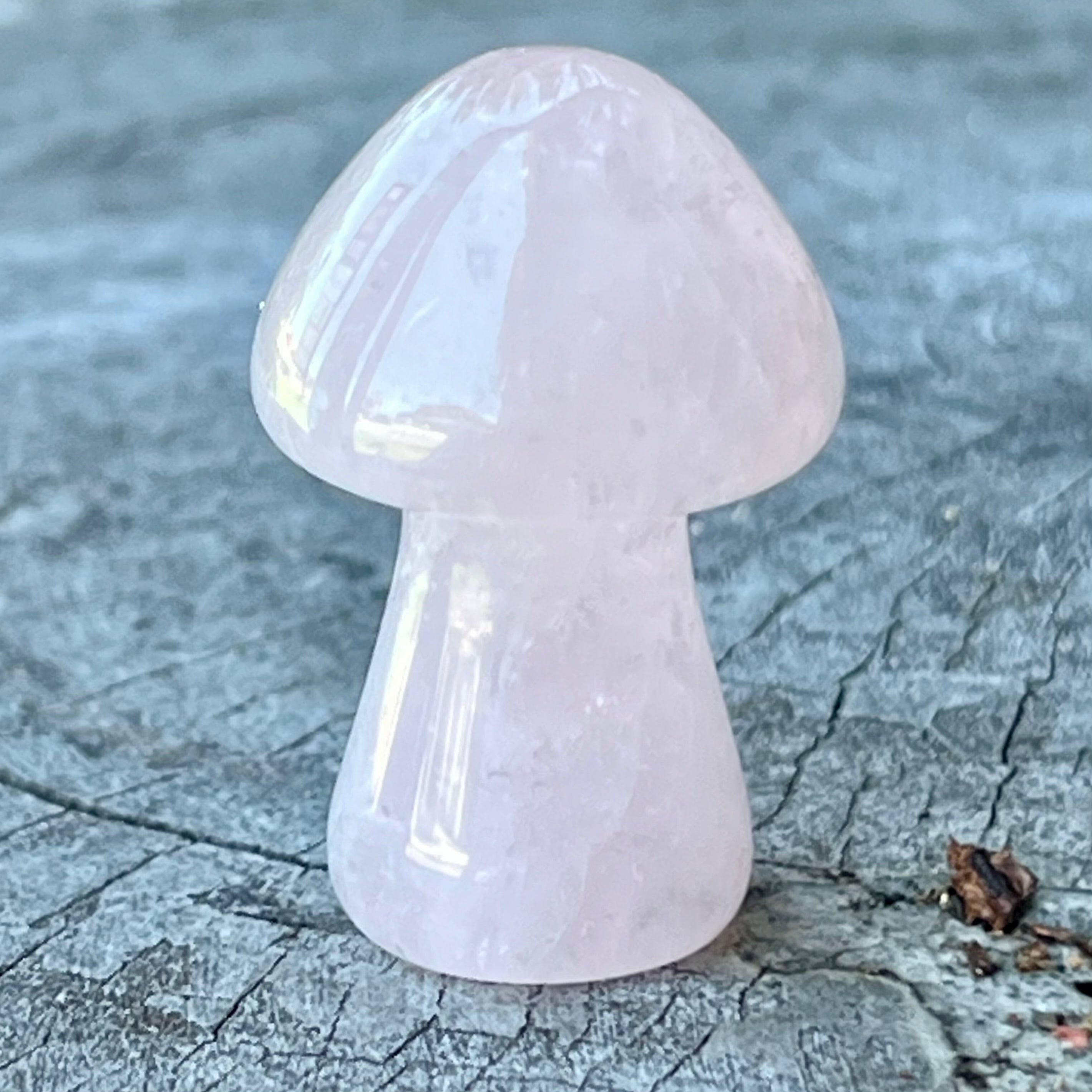 Rose Quartz Mushroom