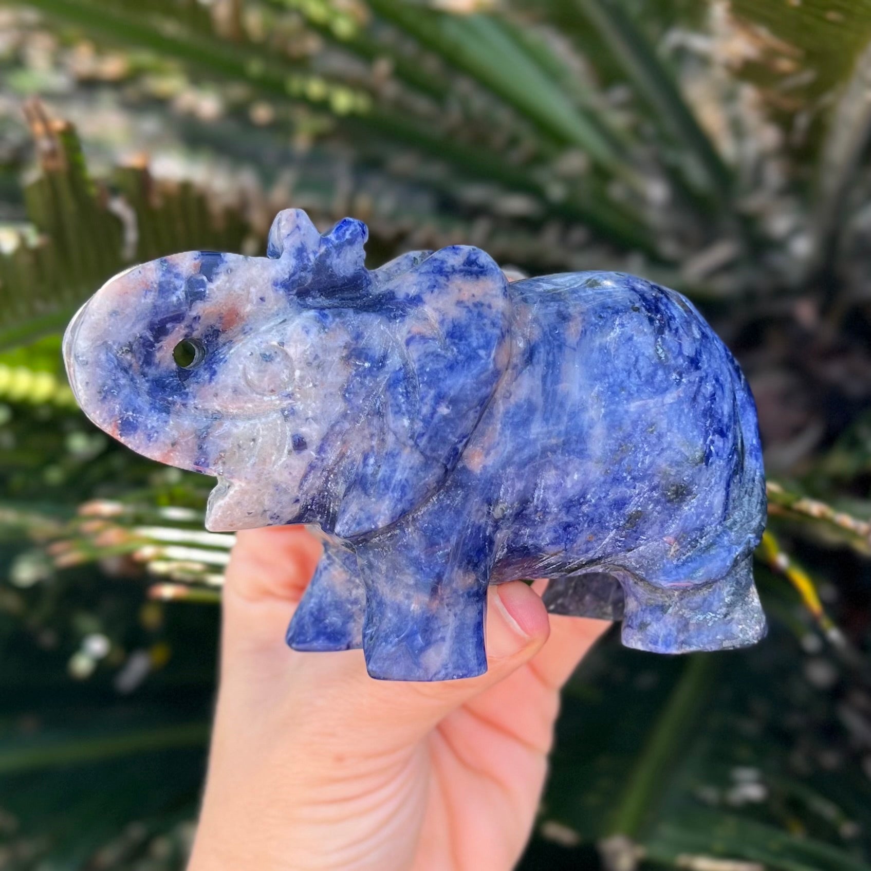 Lucky Elephant ~ Sodalite