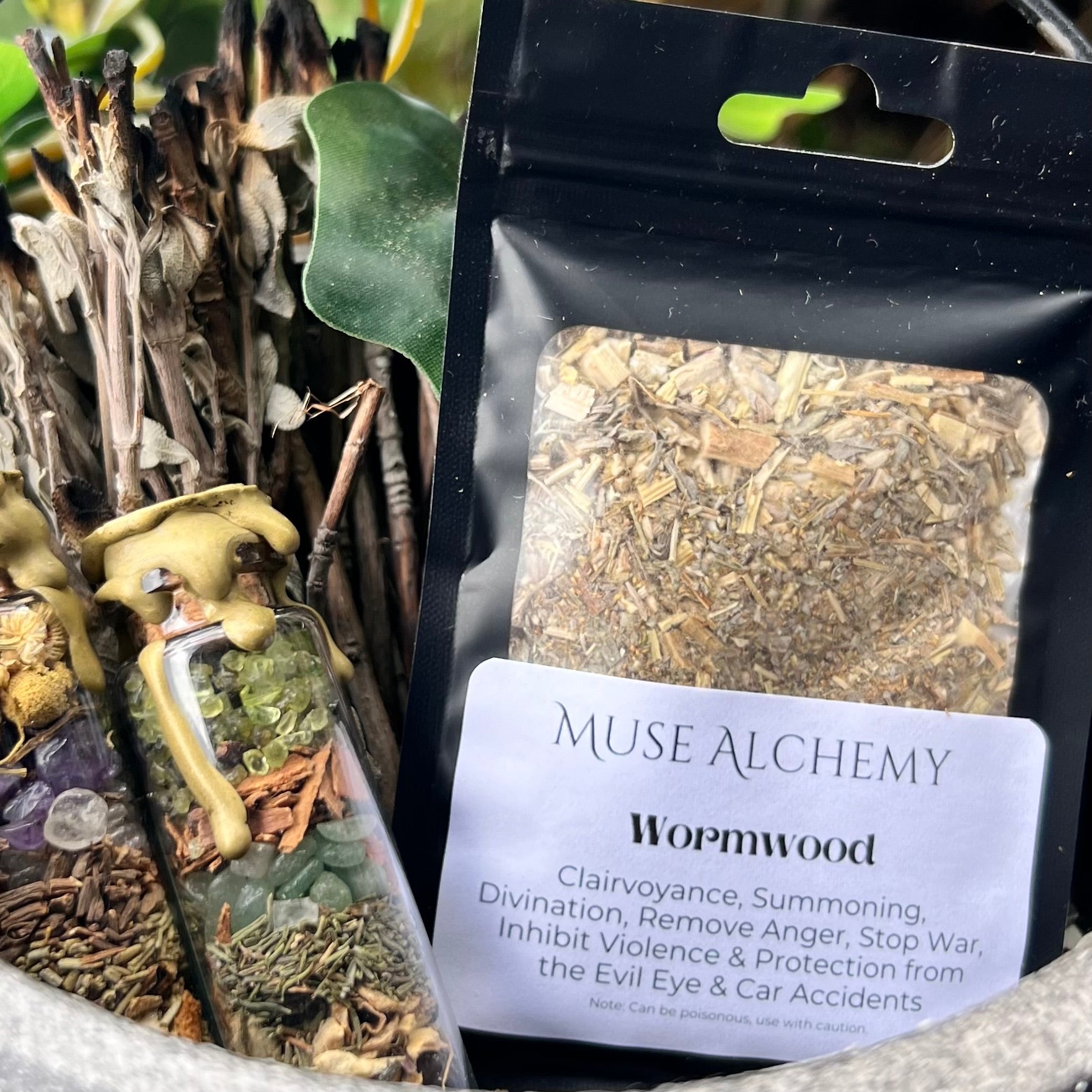 Wormwood ~ Muse Alchemy Botanicals