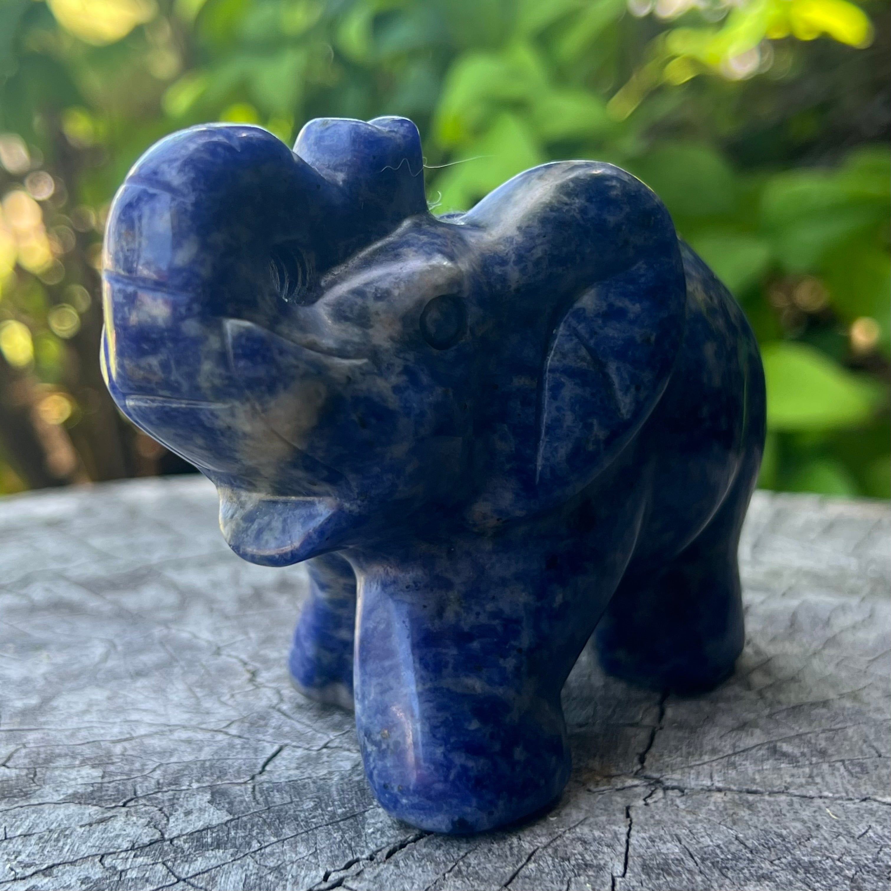 Sodalite ~ Elephant Carving
